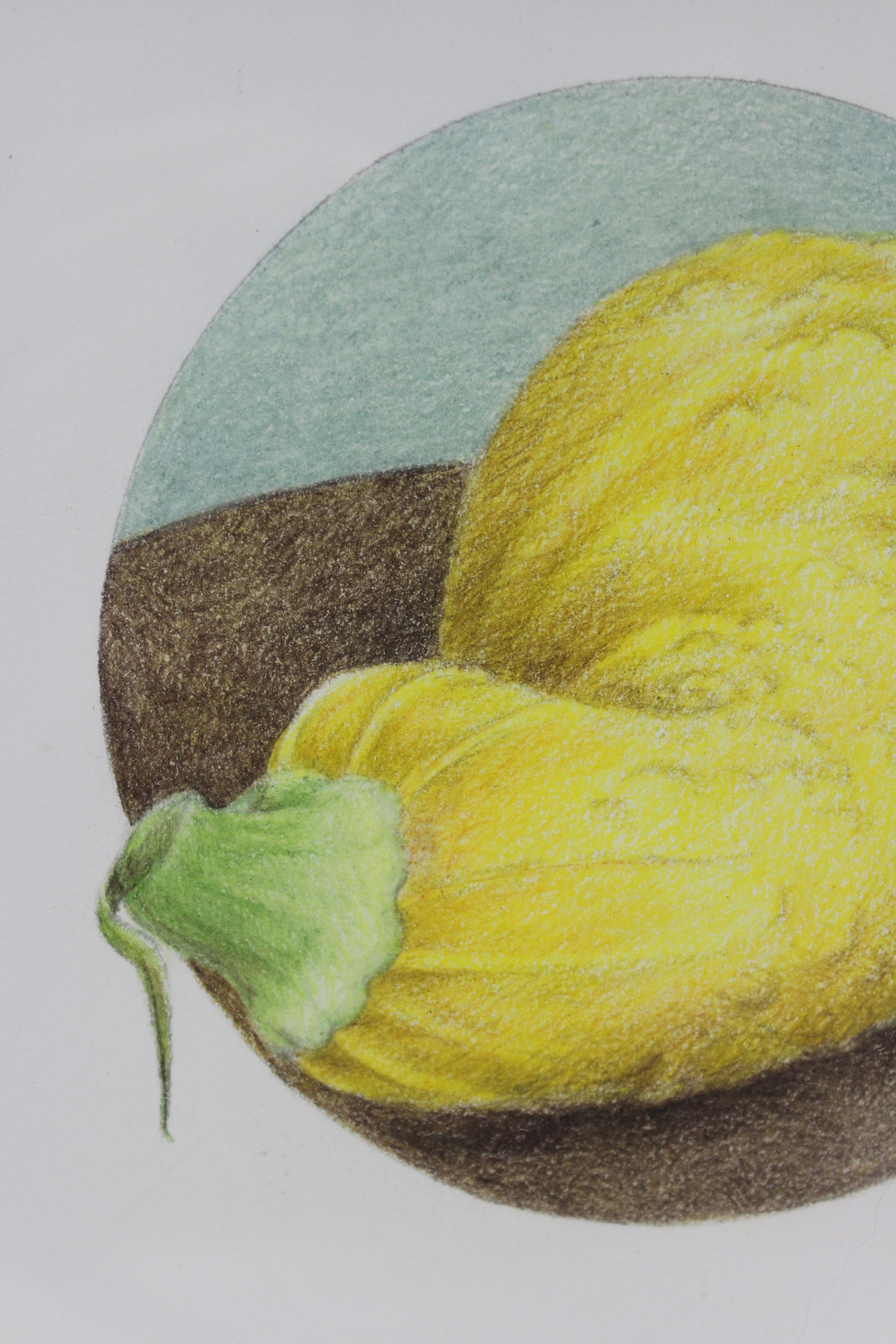 Squash by Mary Lee Eggart