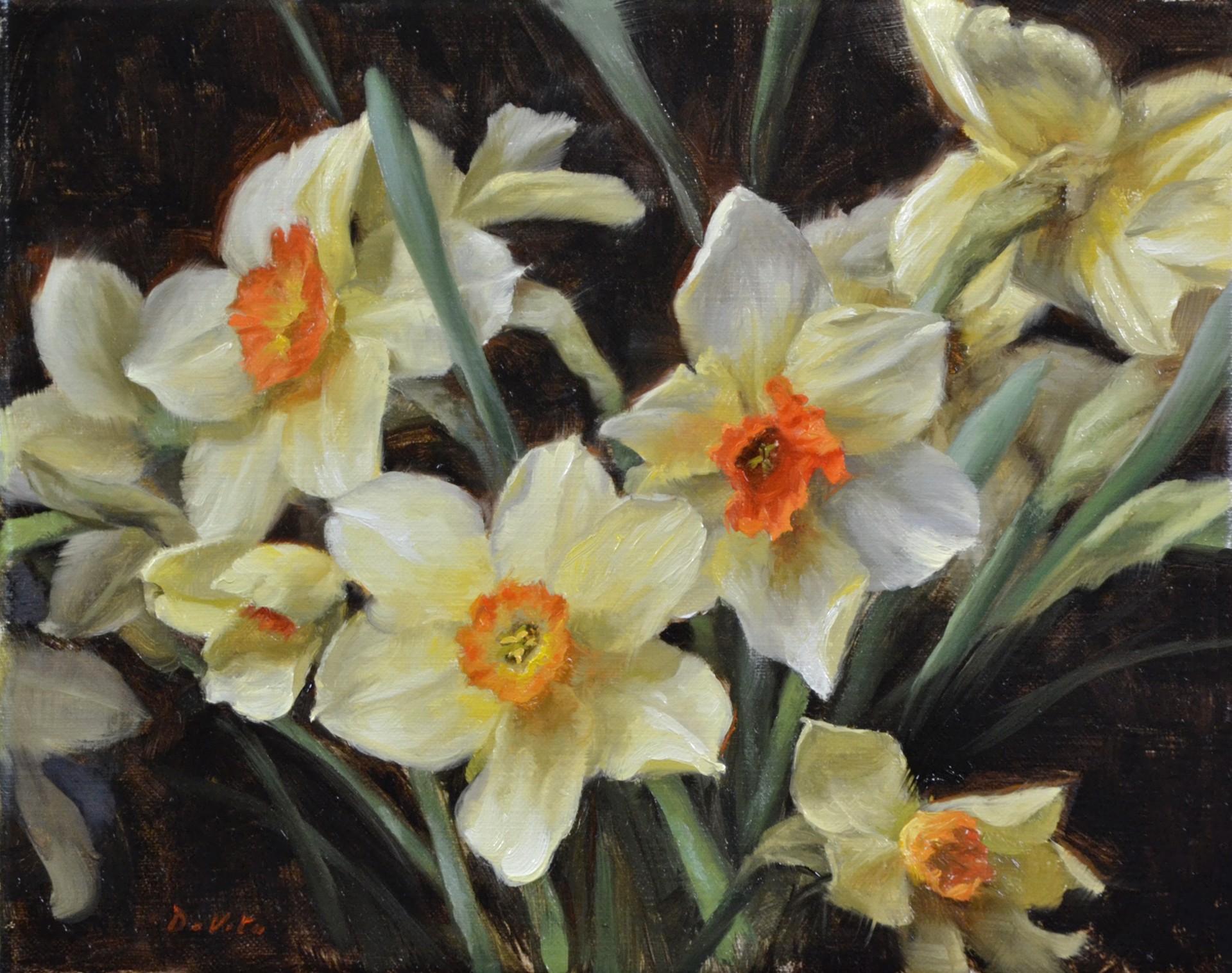 Daffodils by Grace DeVito