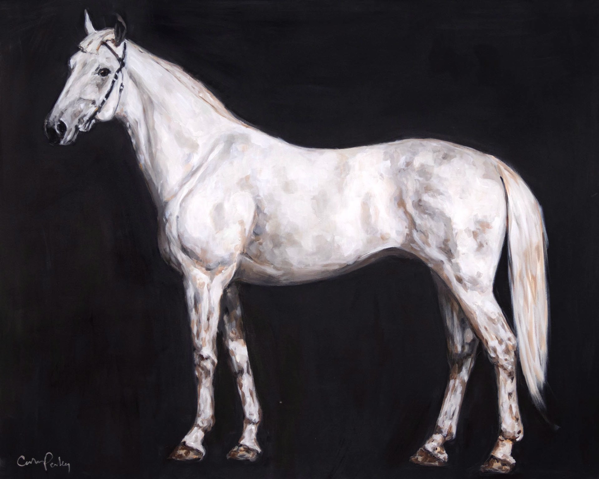 Original Acrylic Painting Featuring A Full Body White Horse Portrait On Black Background