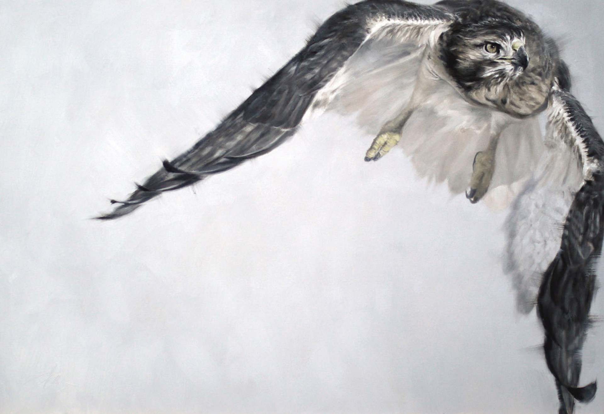 Original Oil Painting By Doyle Hostetler Featuring A Hawk In Flight In Muted Color Scheme