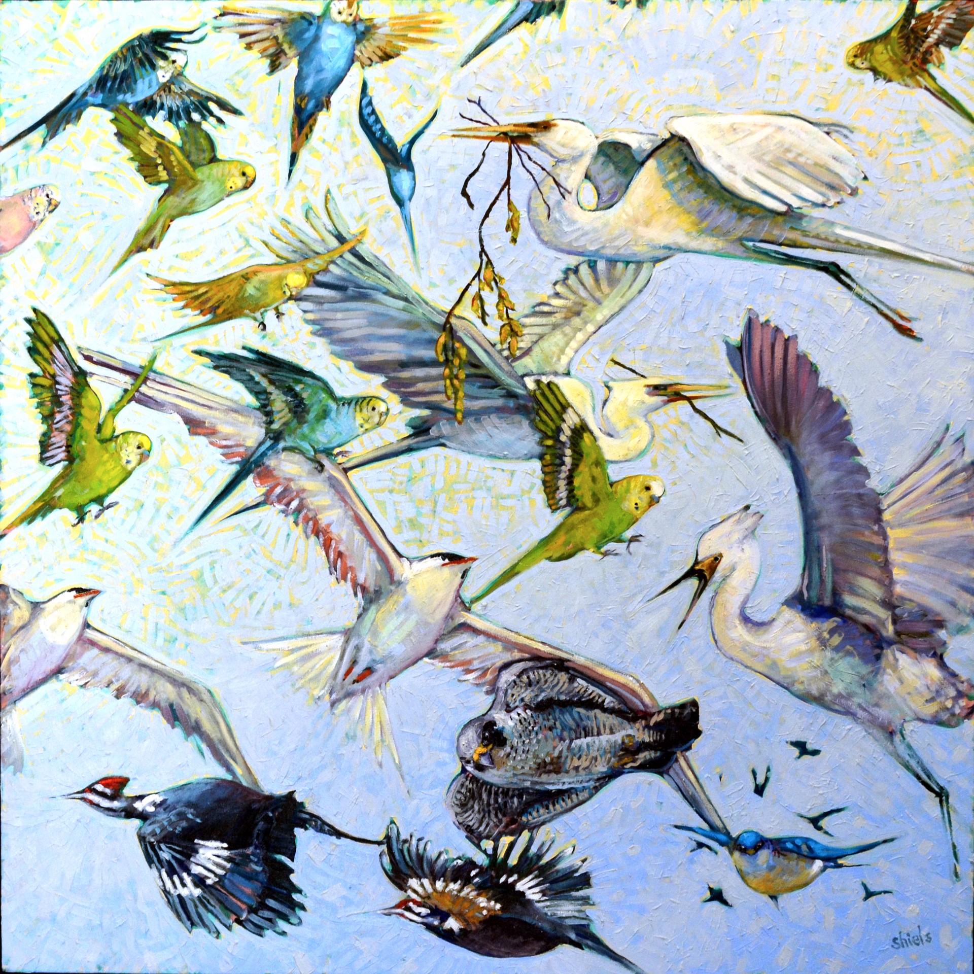 Flock III: Southern Birds by Leslie Shiels