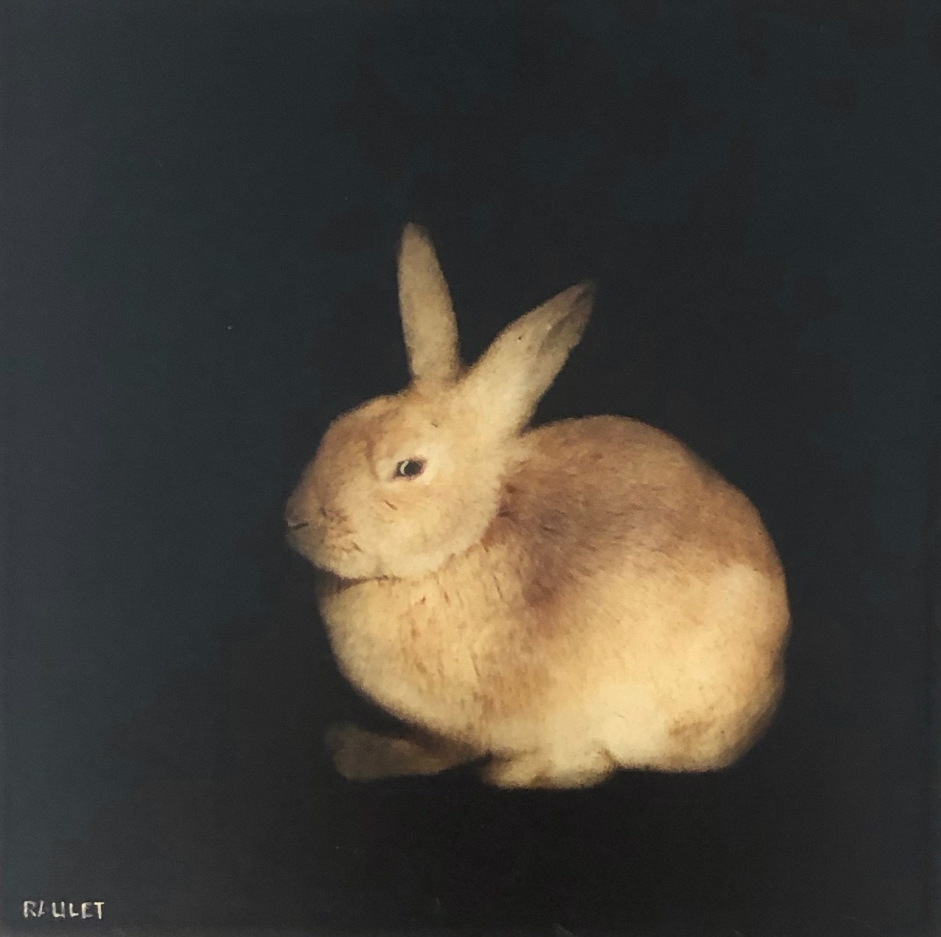 Snuggle Bunny by Dawne Raulet