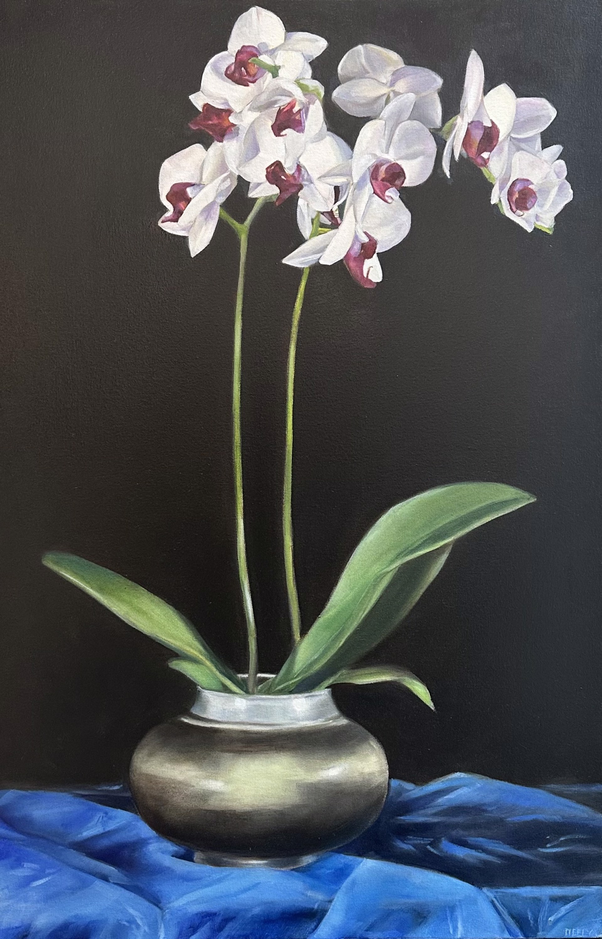 Orchids in Pot by Stephanie Neely