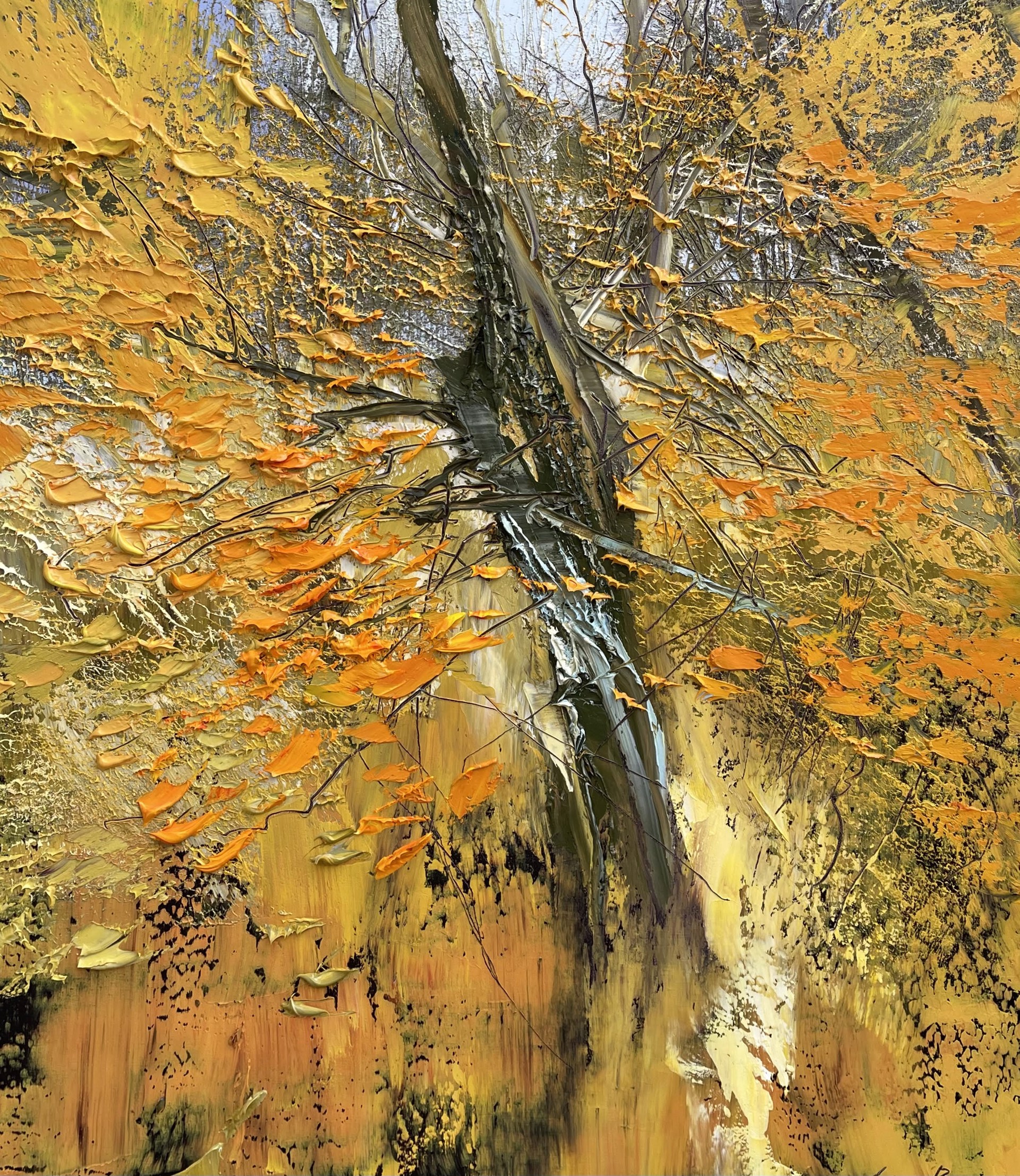 4 November 2023 by Lynn Boggess