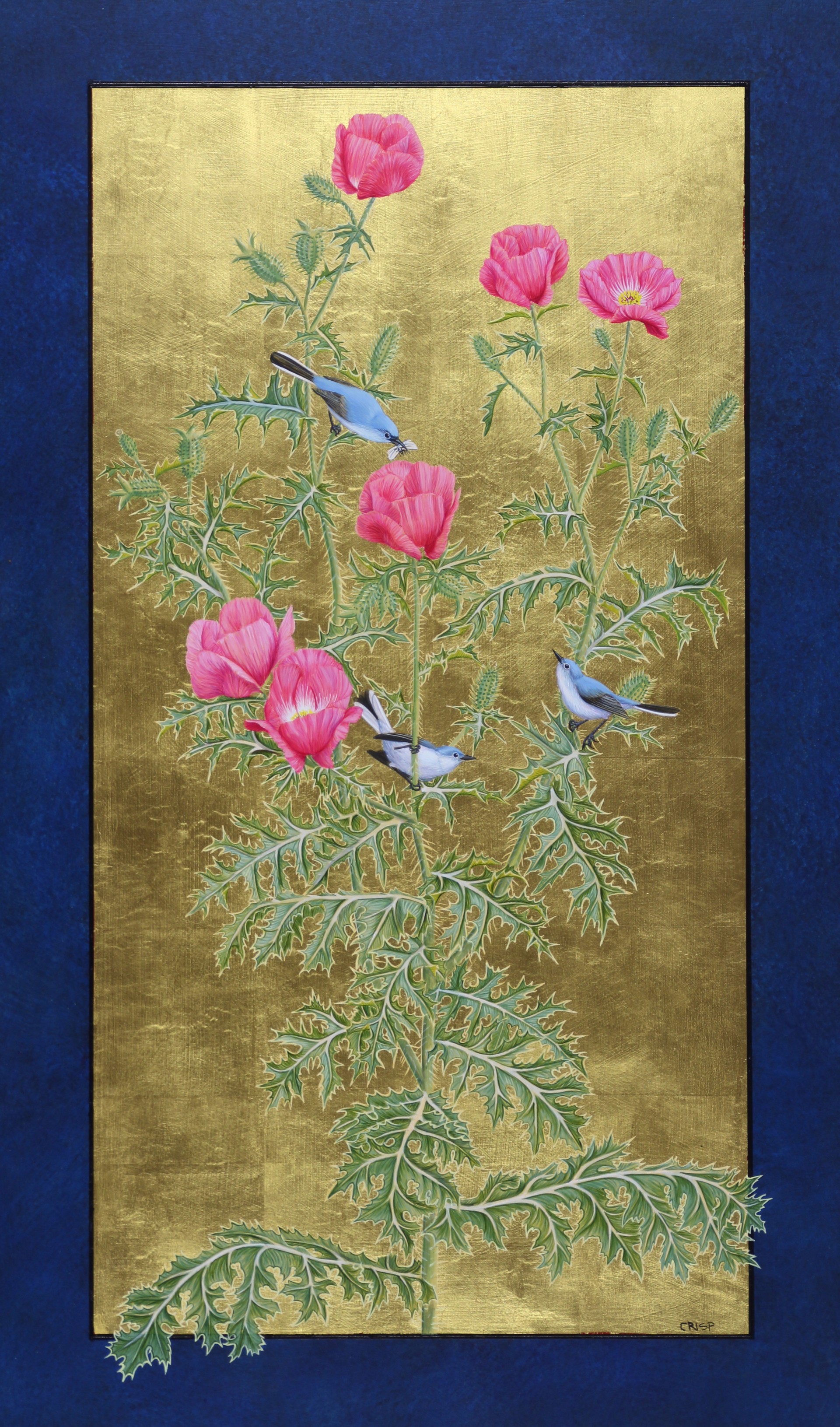 Rose Prickly Poppy and Blue-gray Gnatcatchers by Margie Crisp