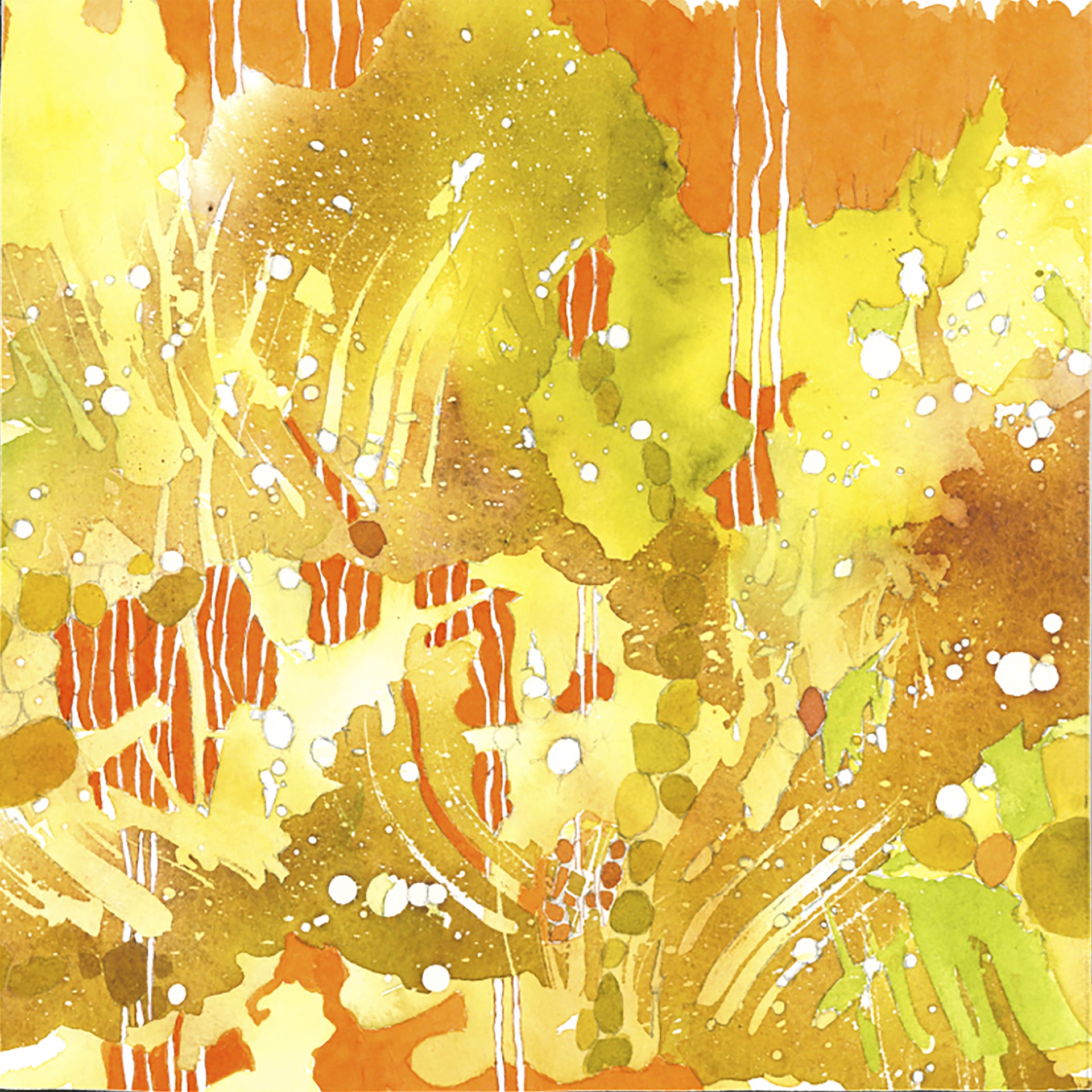 Birch Forest Orange Sky by Sondra Dorn