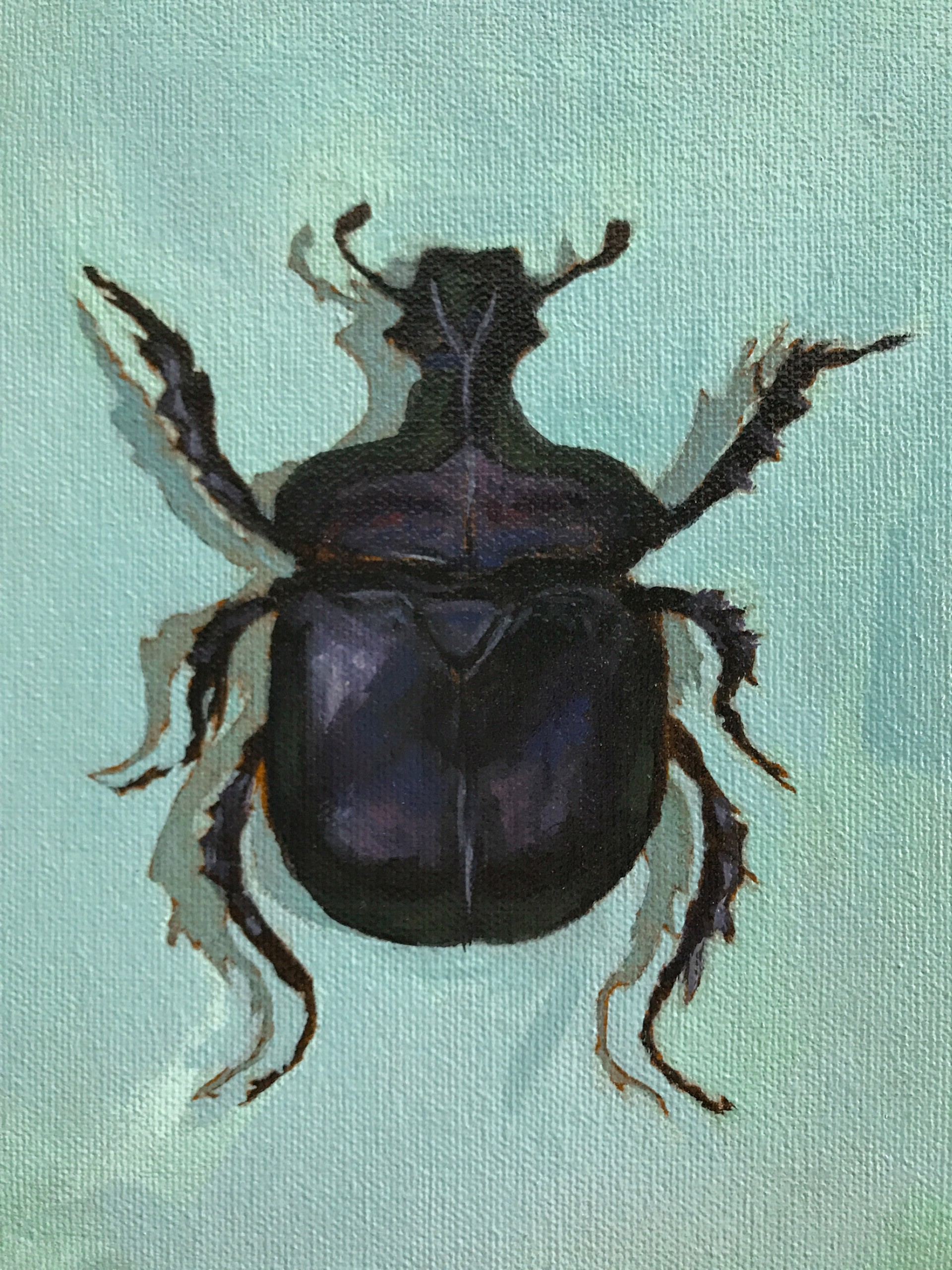 Scarab Beetle by Noelle Holler
