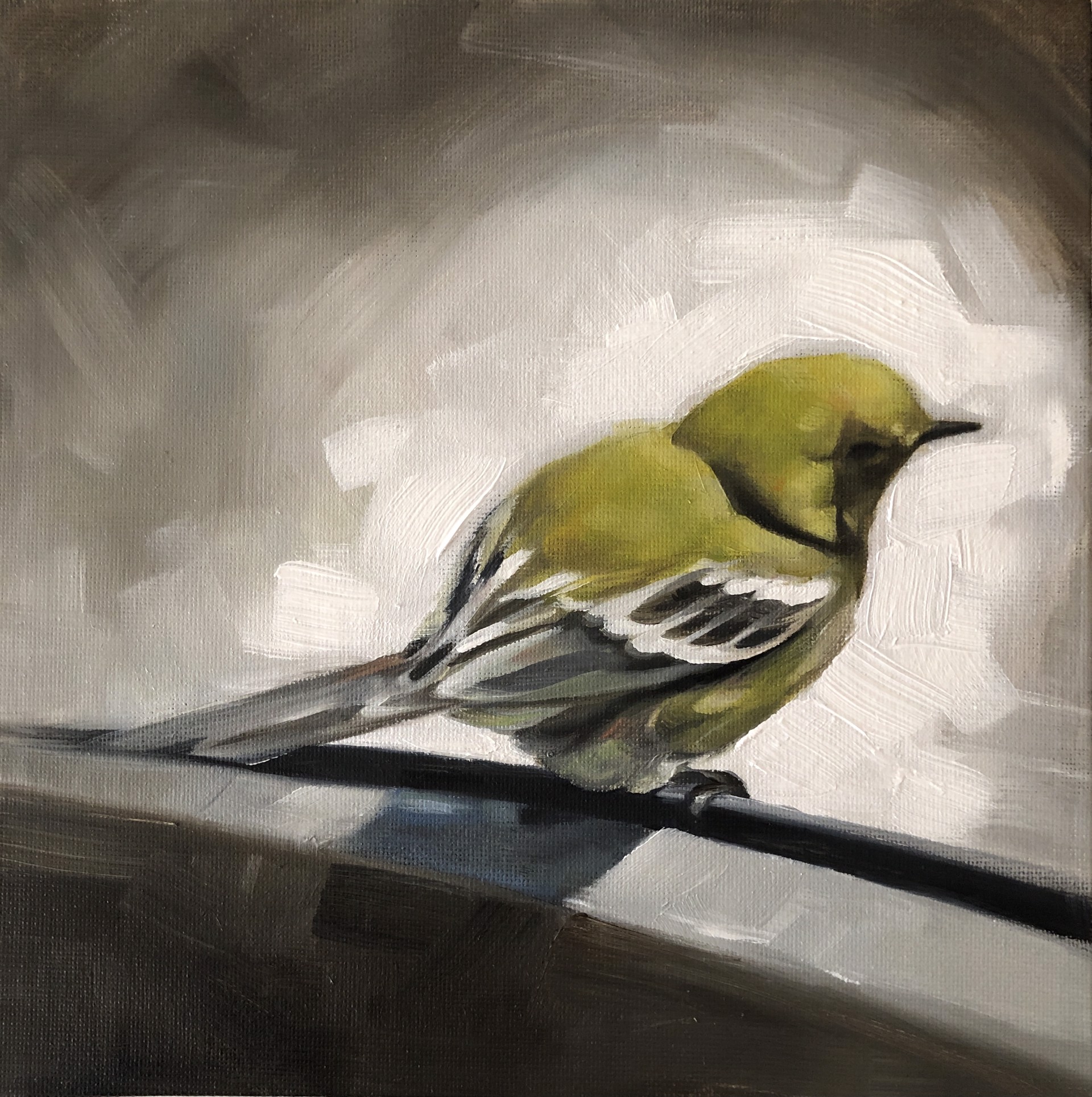 Bird Rest by Barbara Hack