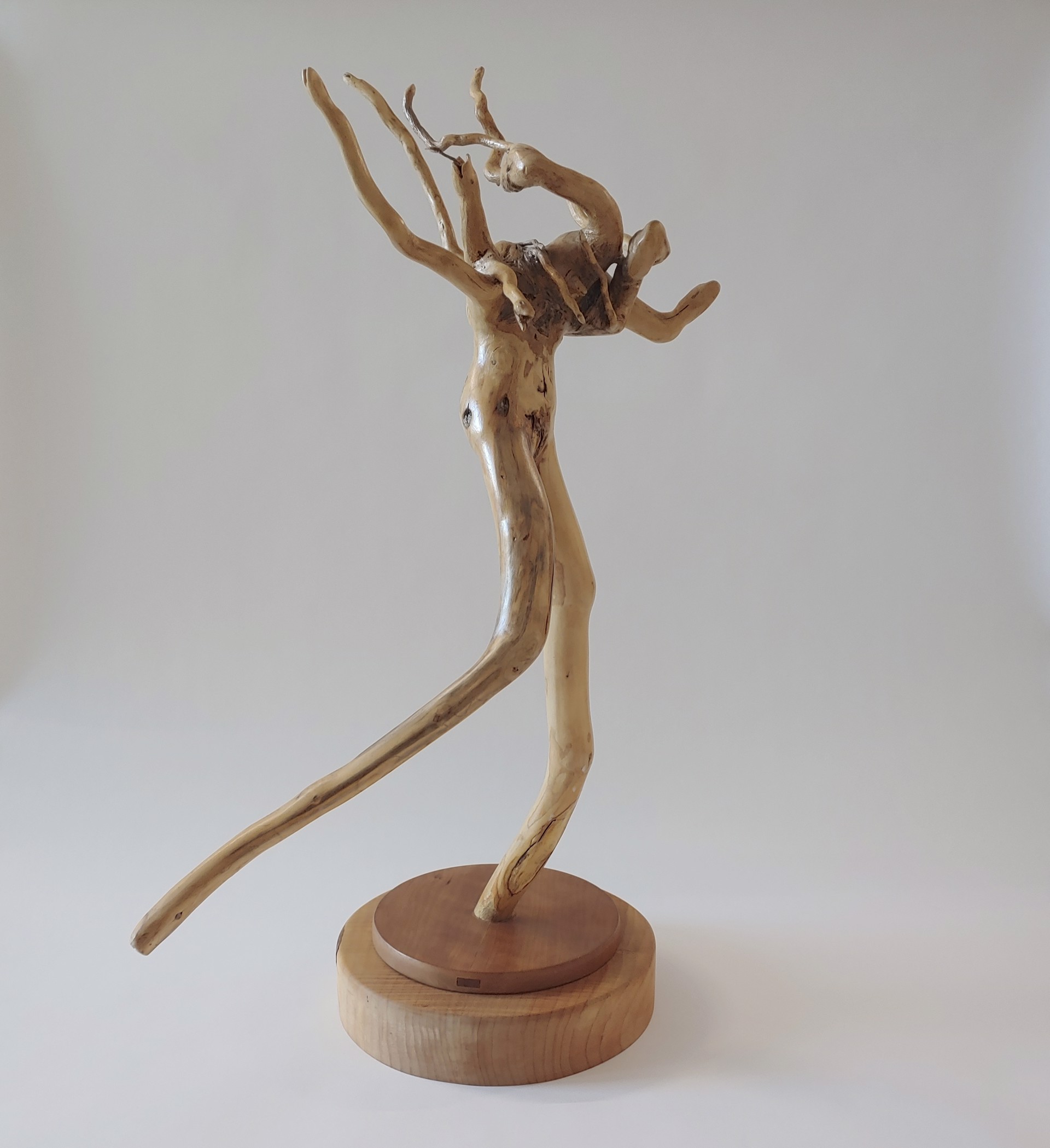 Medusa - Wood Sculpture by David Amdur