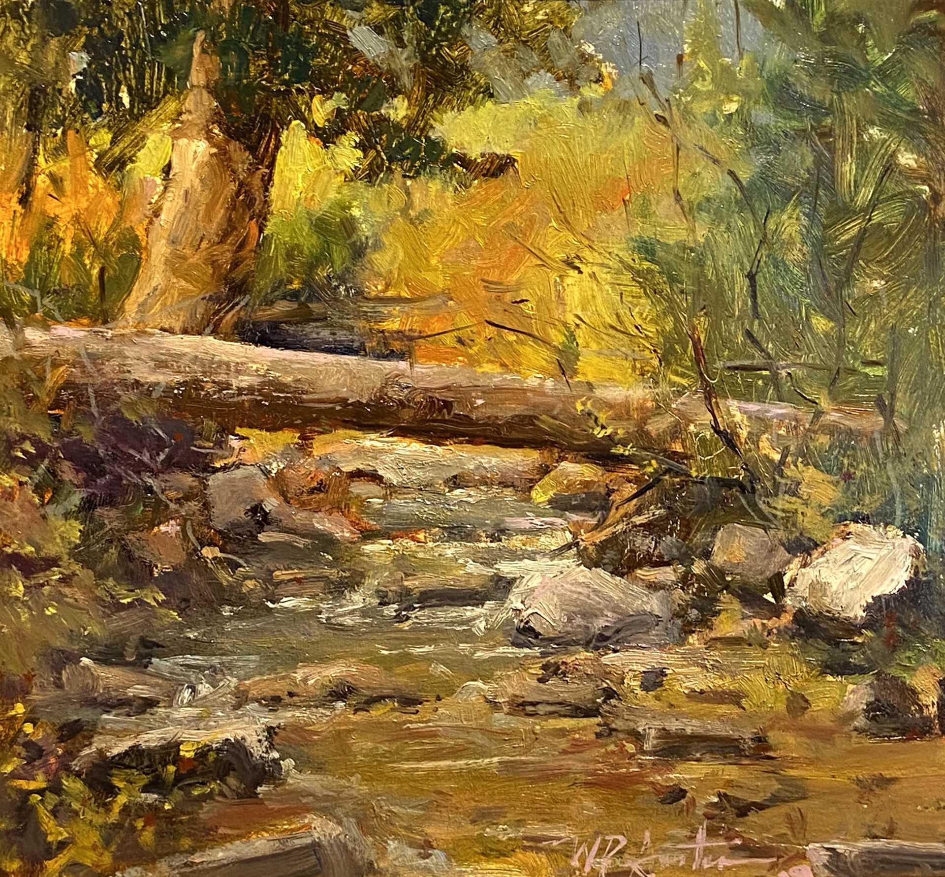 Sheep Creek by Perry Austin