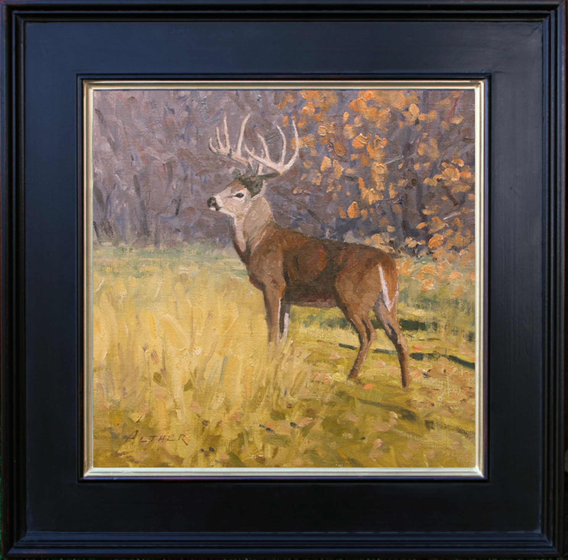 Autumn Whitetail by William Alther