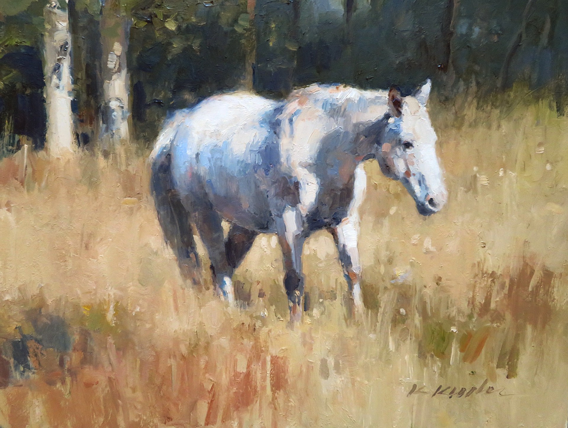 The Gray by Kate Kiesler