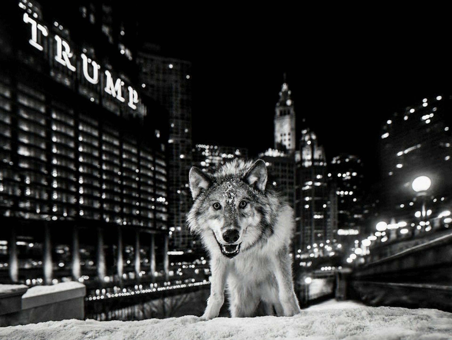 It is Only a Matter of Time by David Yarrow