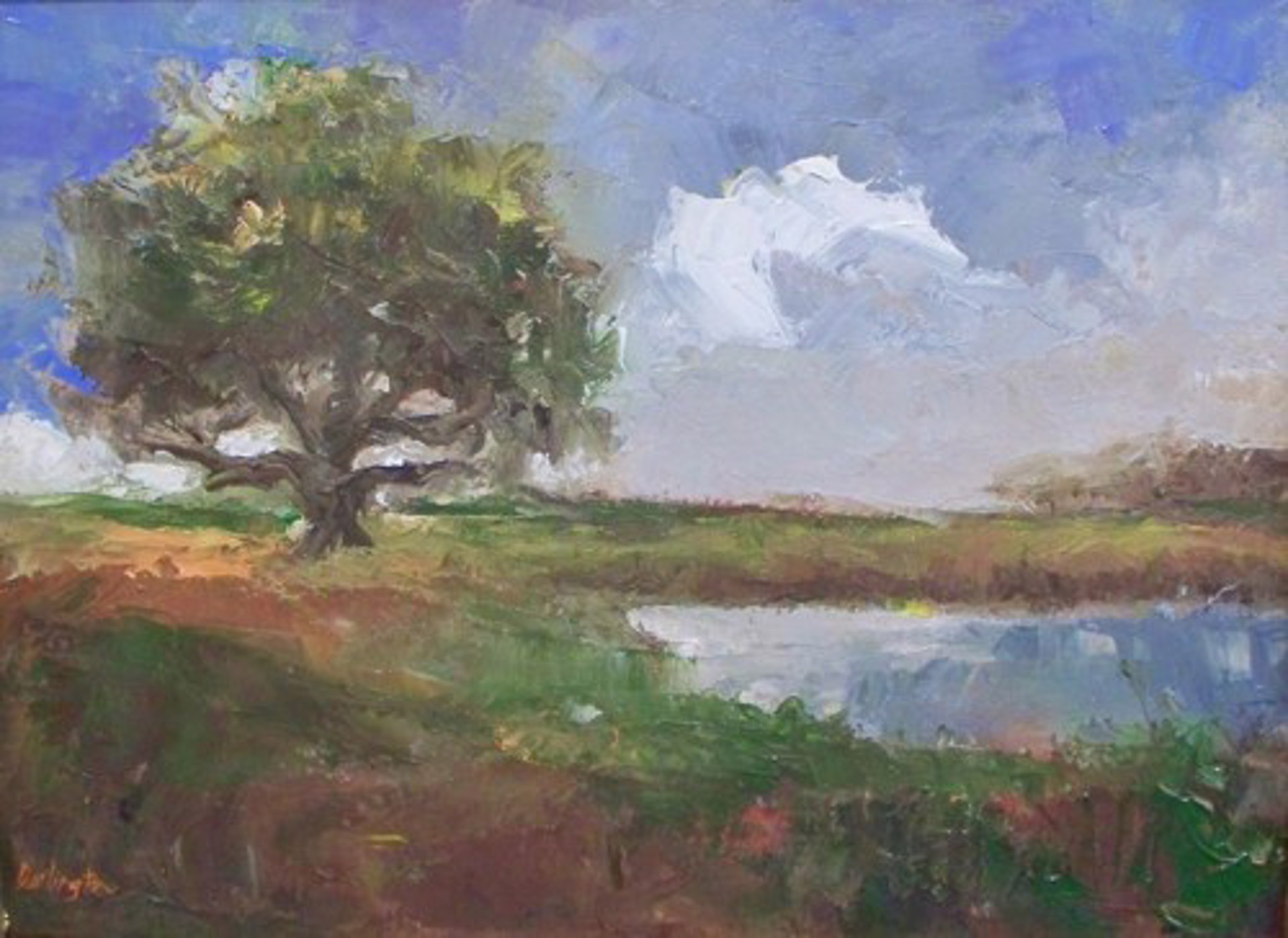 Marsh Oak by Jim Darlington