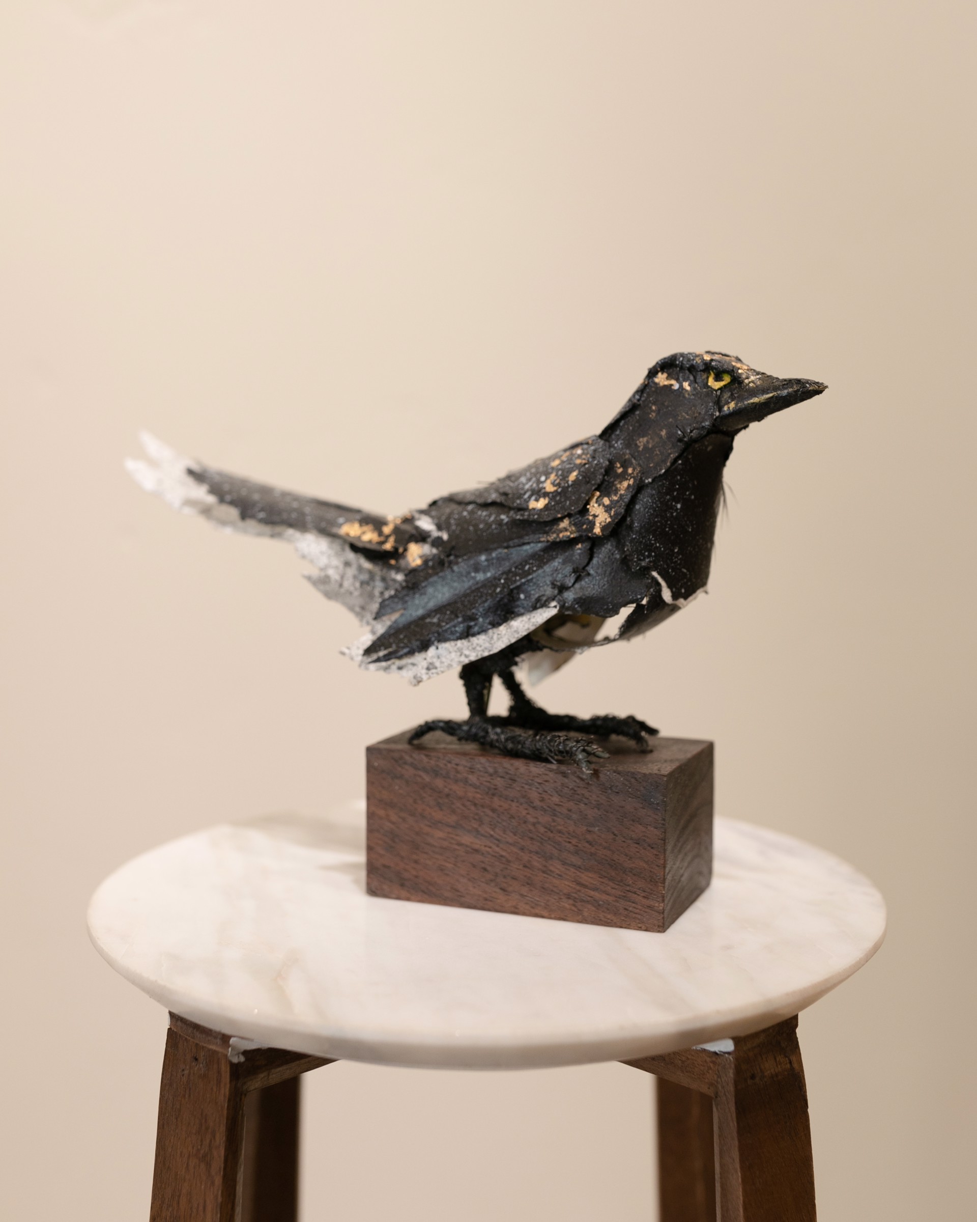 Fight'n Mad - Grackle by Cathy Rowten