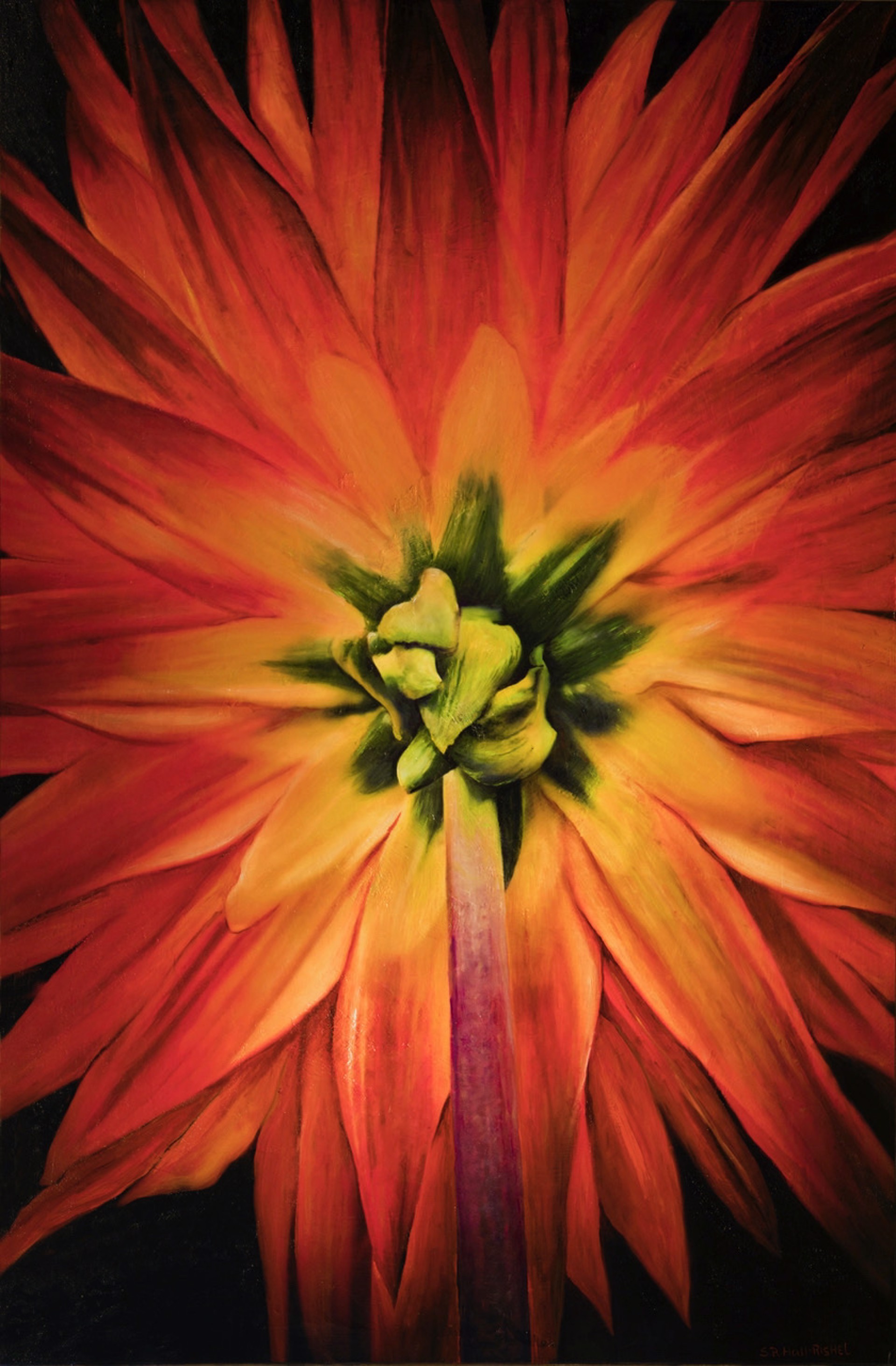 Flower Power by S. RUSSELL HALL + T. RISHEL