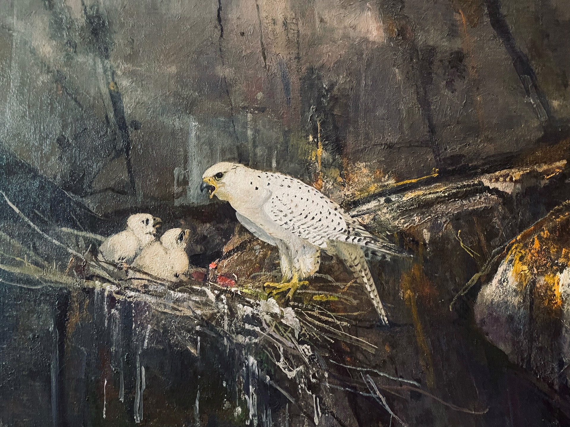 GYRFALCON AND CHICKS by Michael Coleman