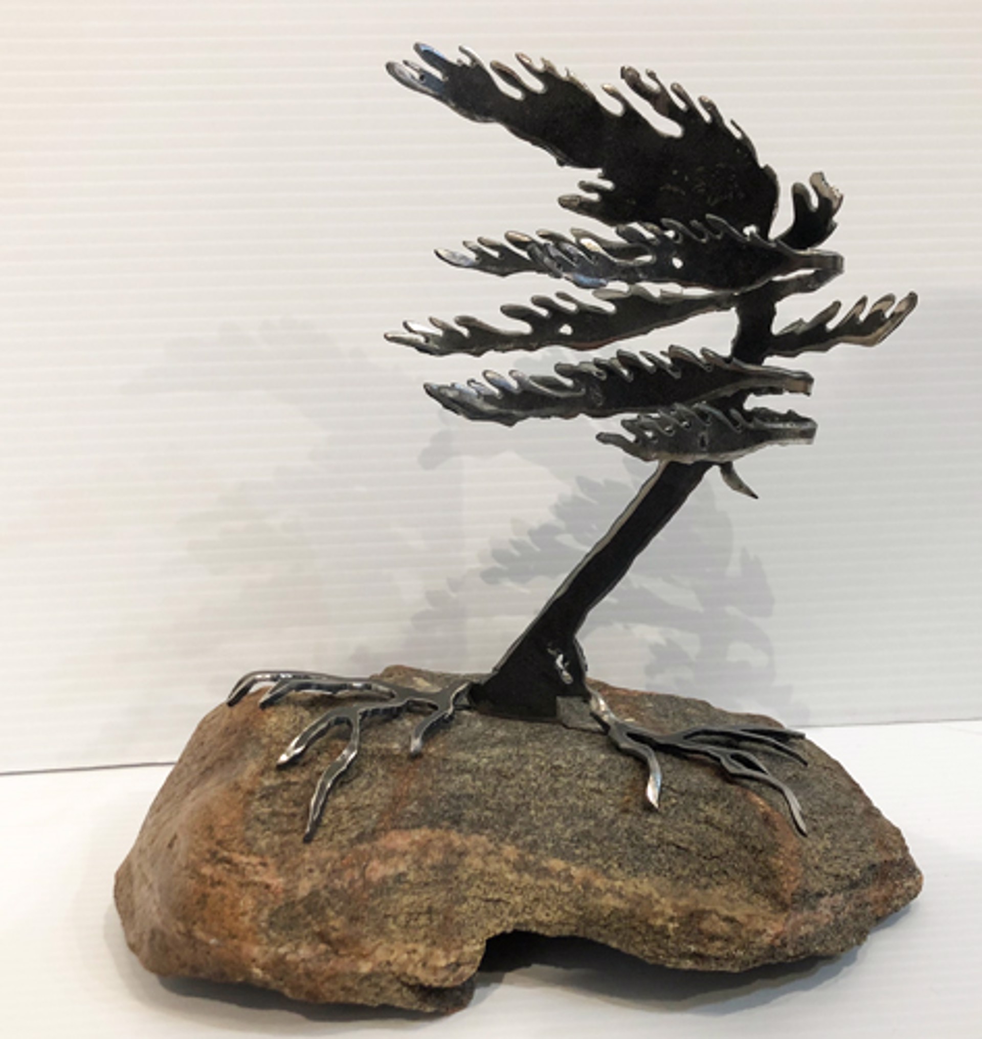 Windswept Pine 659494 by Cathy Mark