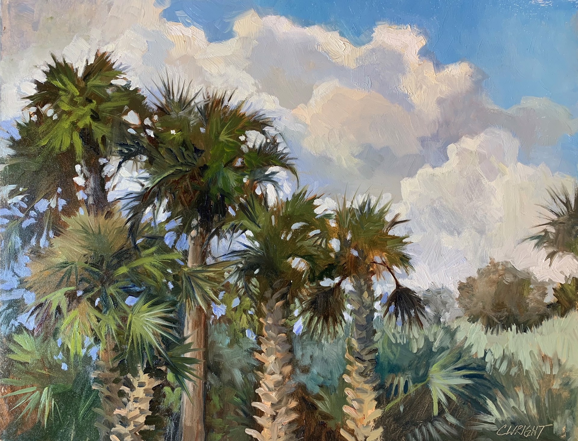 Florida Palms by Cory Wright