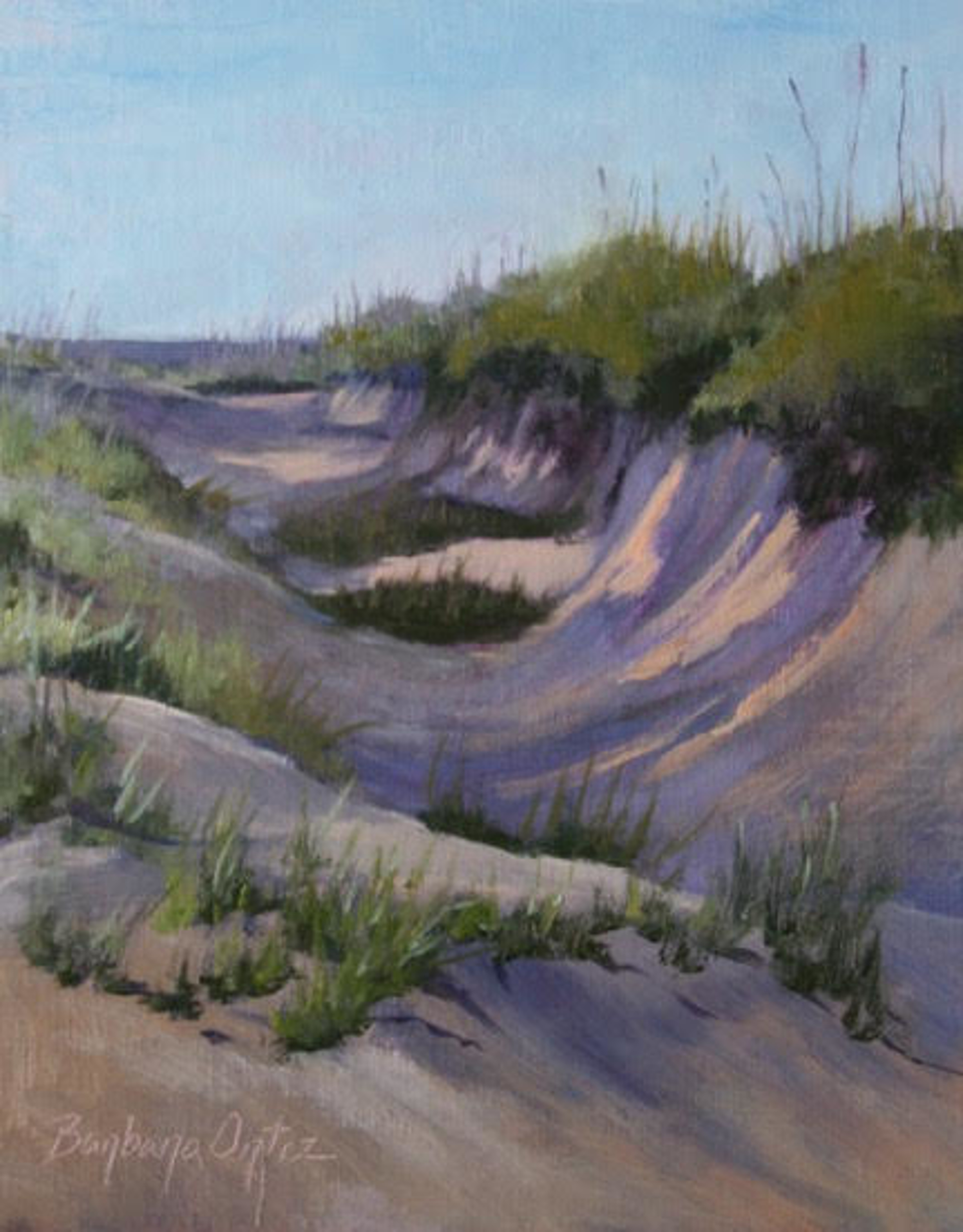Essential Dunes by Barbara Ortiz