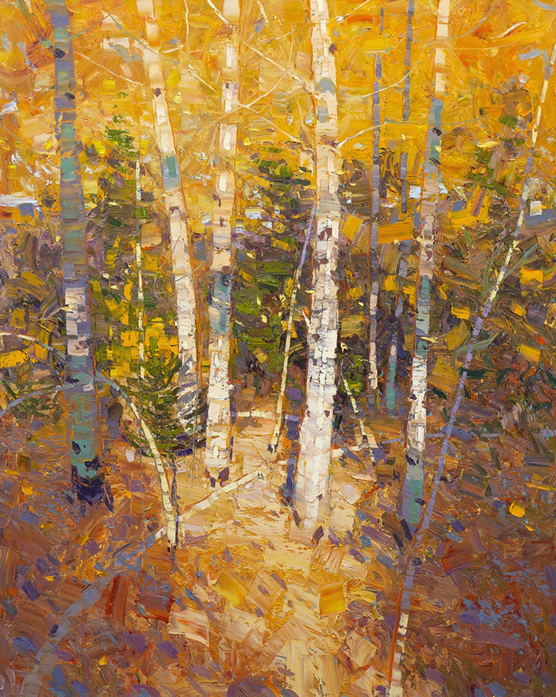 Original Oil Painting By Silas Thompson Of Aspens In A Forest