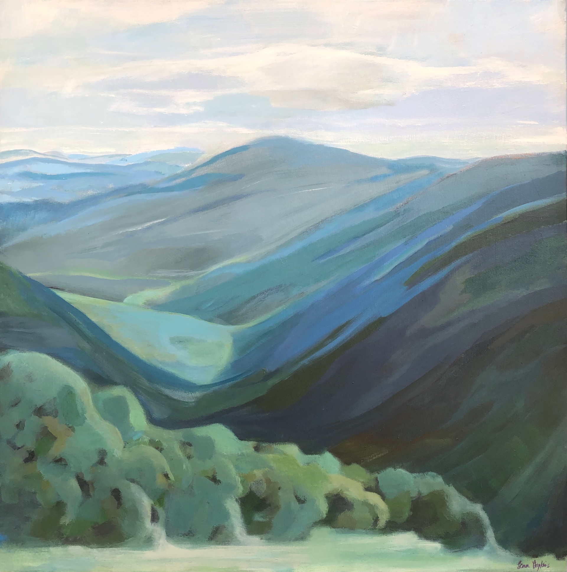 Valley View by Lenn Hopkins