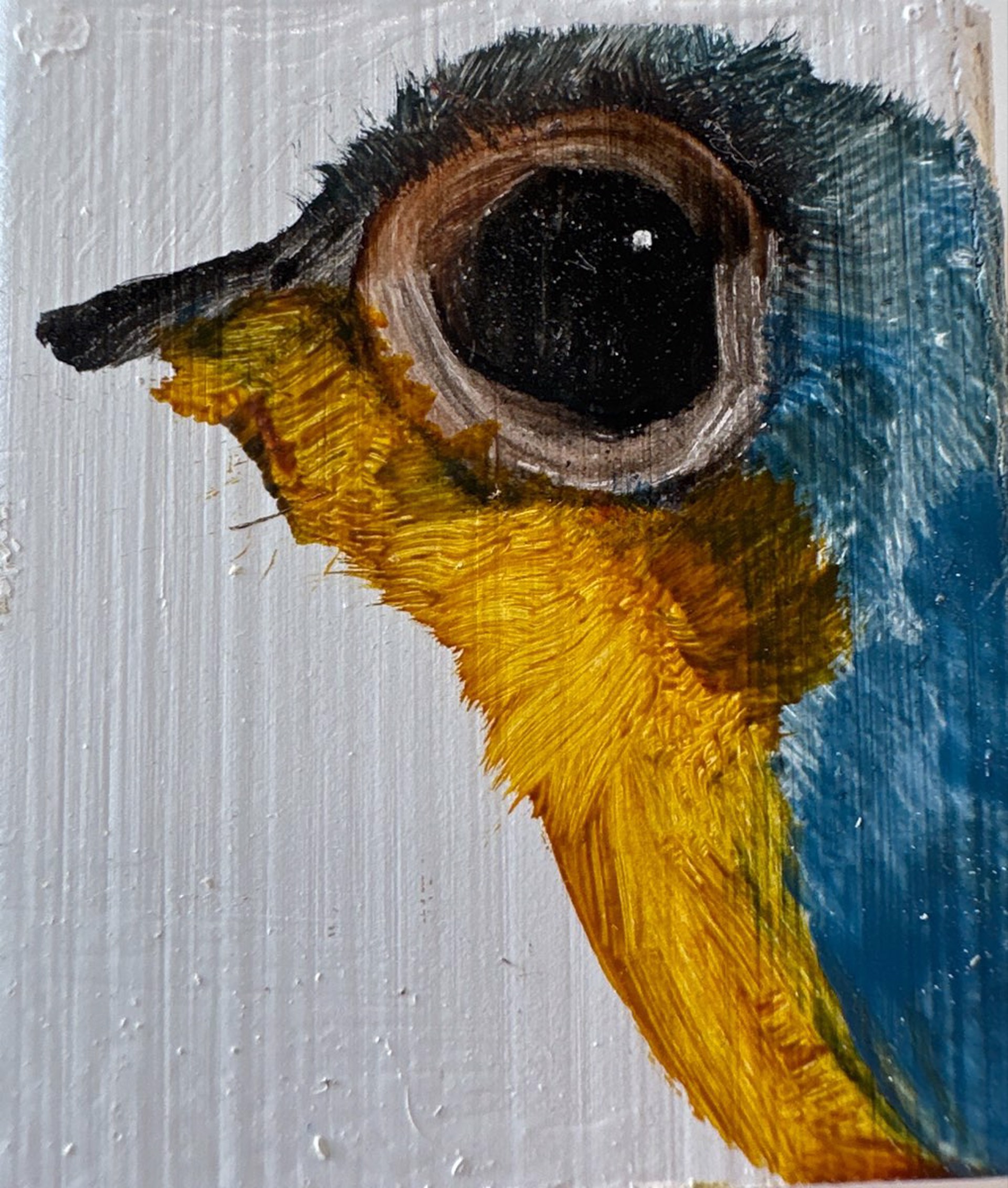 Small Bird Block 2 by Diane Kilgore Condon