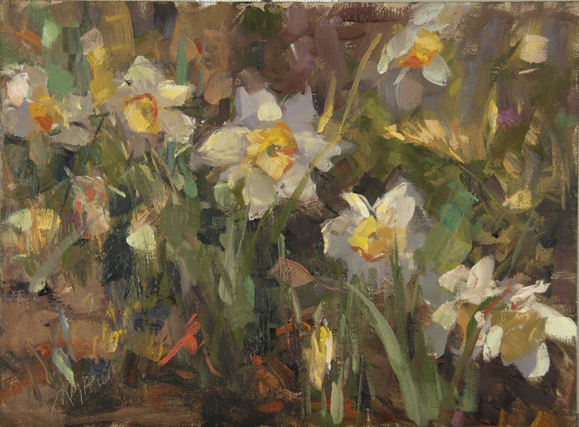 Daffodils in the Garden by Stephanie Amato
