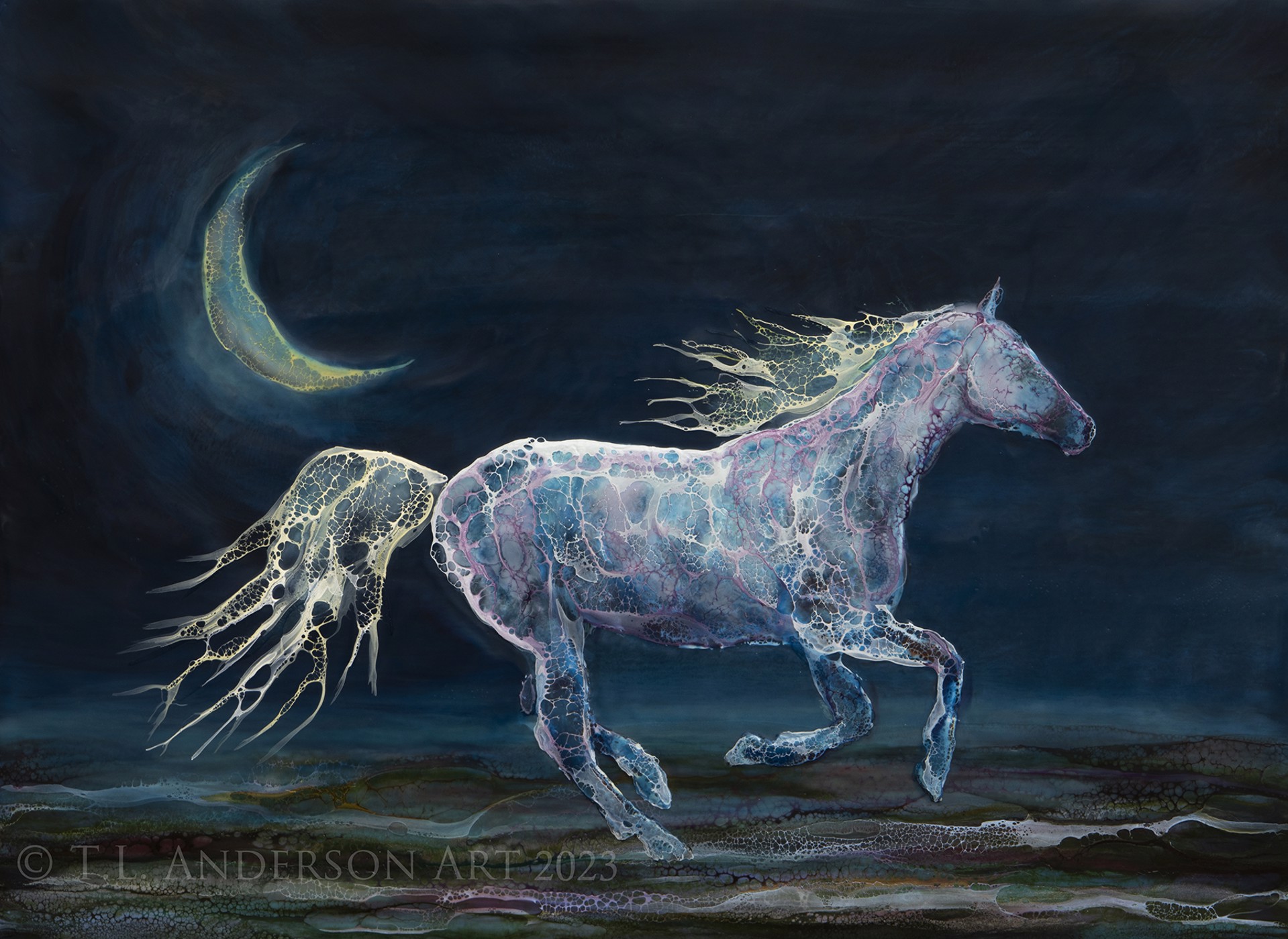 Moonhorse by Tracy Anderson