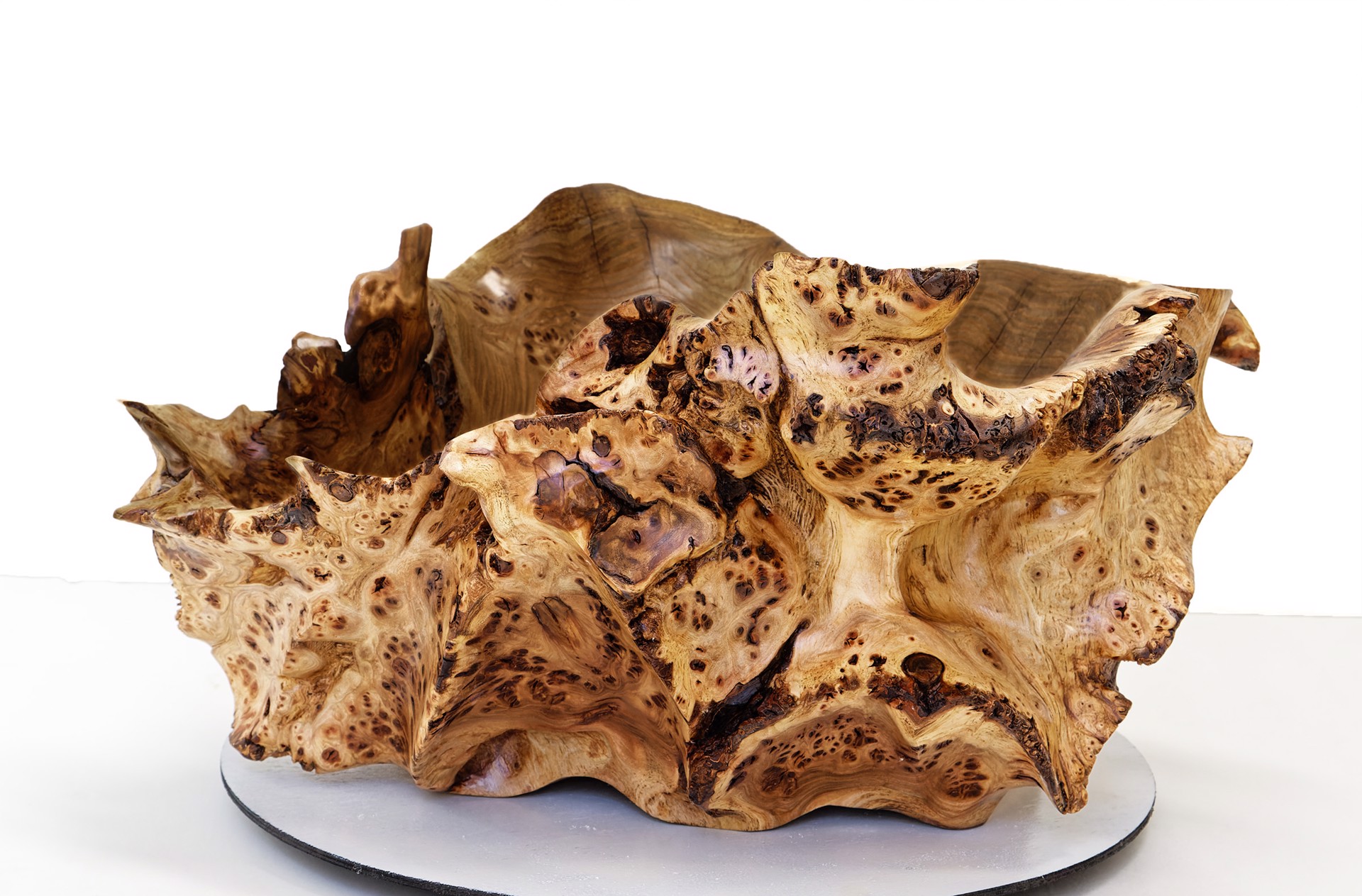 Elite Elm Burl Bowl by Robert Paulson