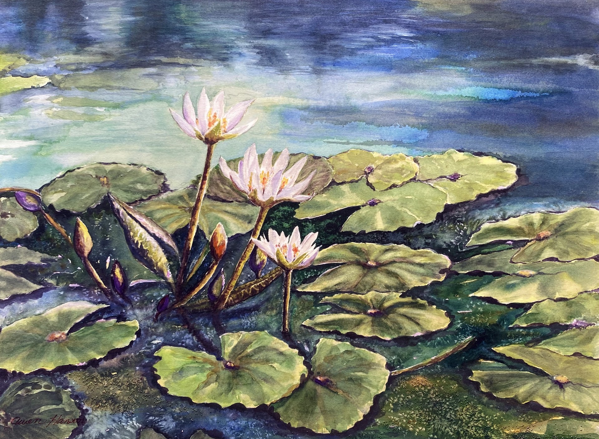 Water Lilies by Gwen Hanson