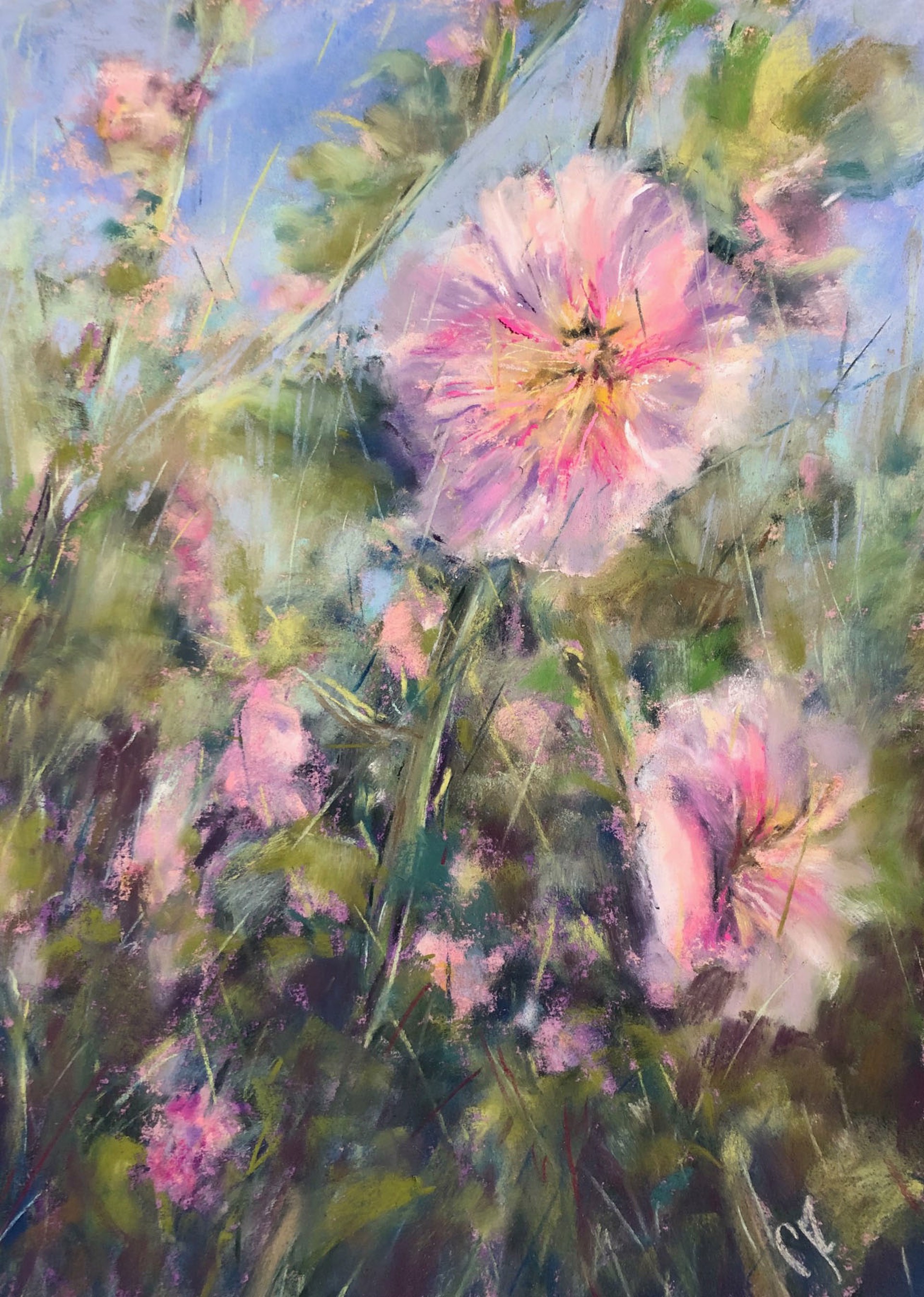 Climb of the Hollyhocks by Carrie Ruddy