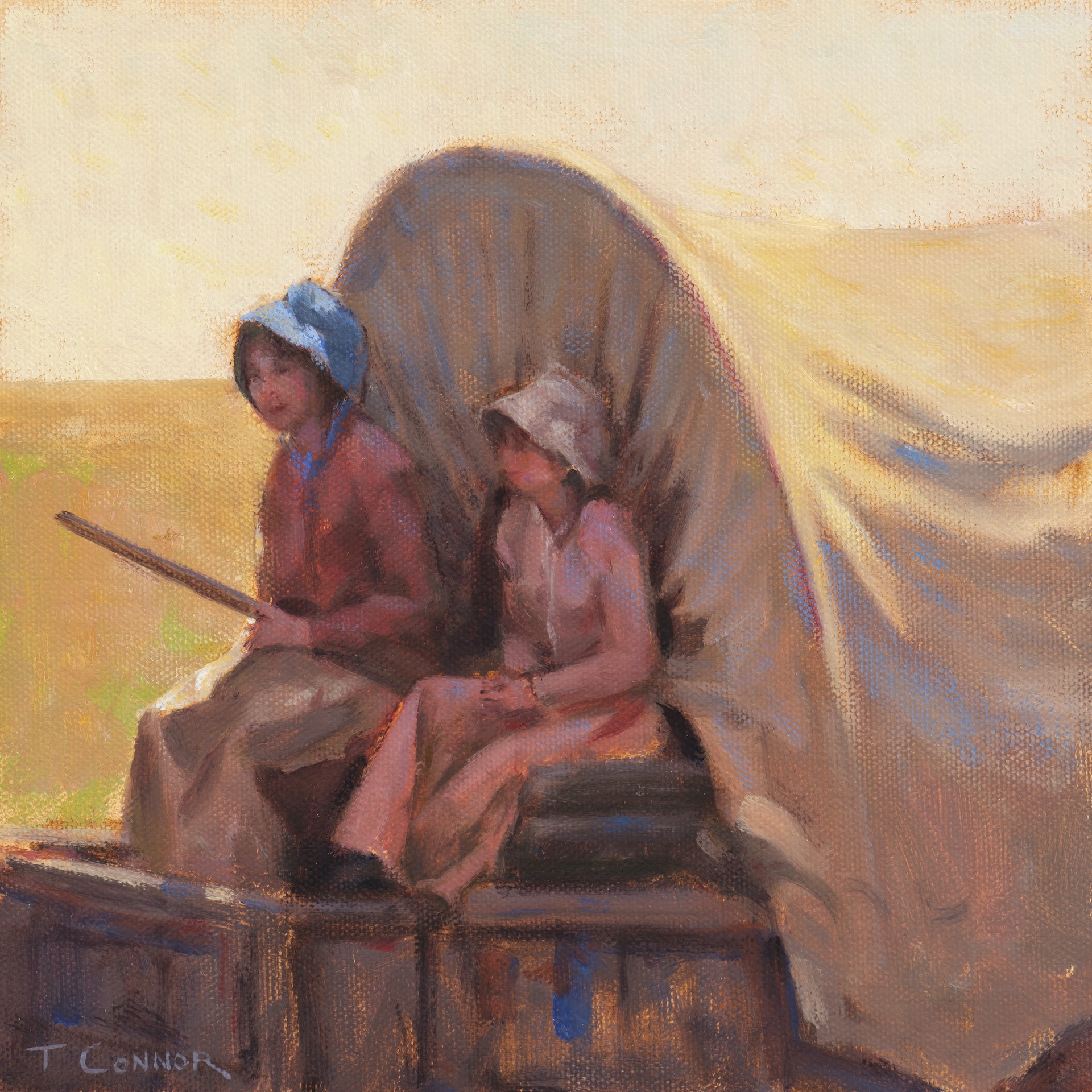 The Shade of the Wagon by Todd Connor