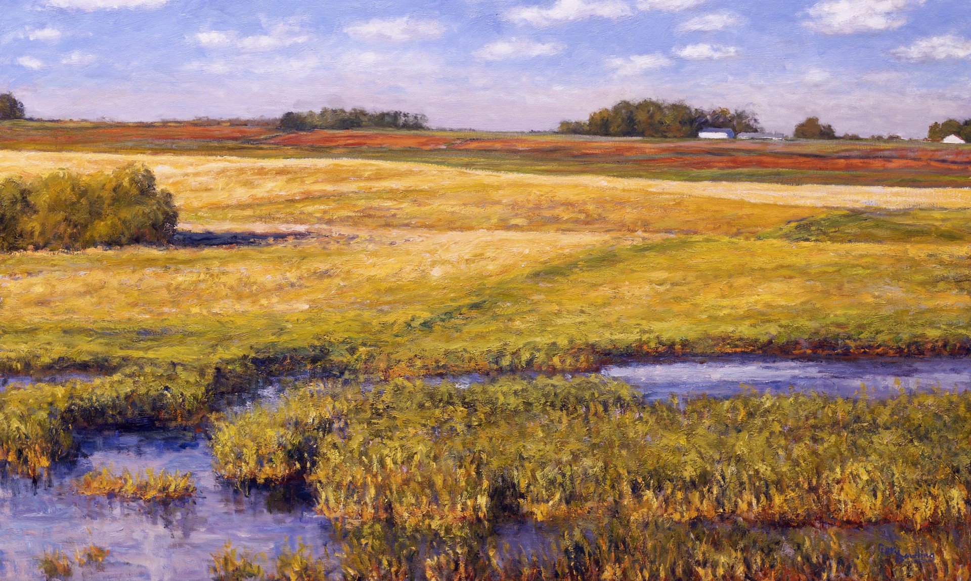 Boundary of Wetlands by Gary Bowling