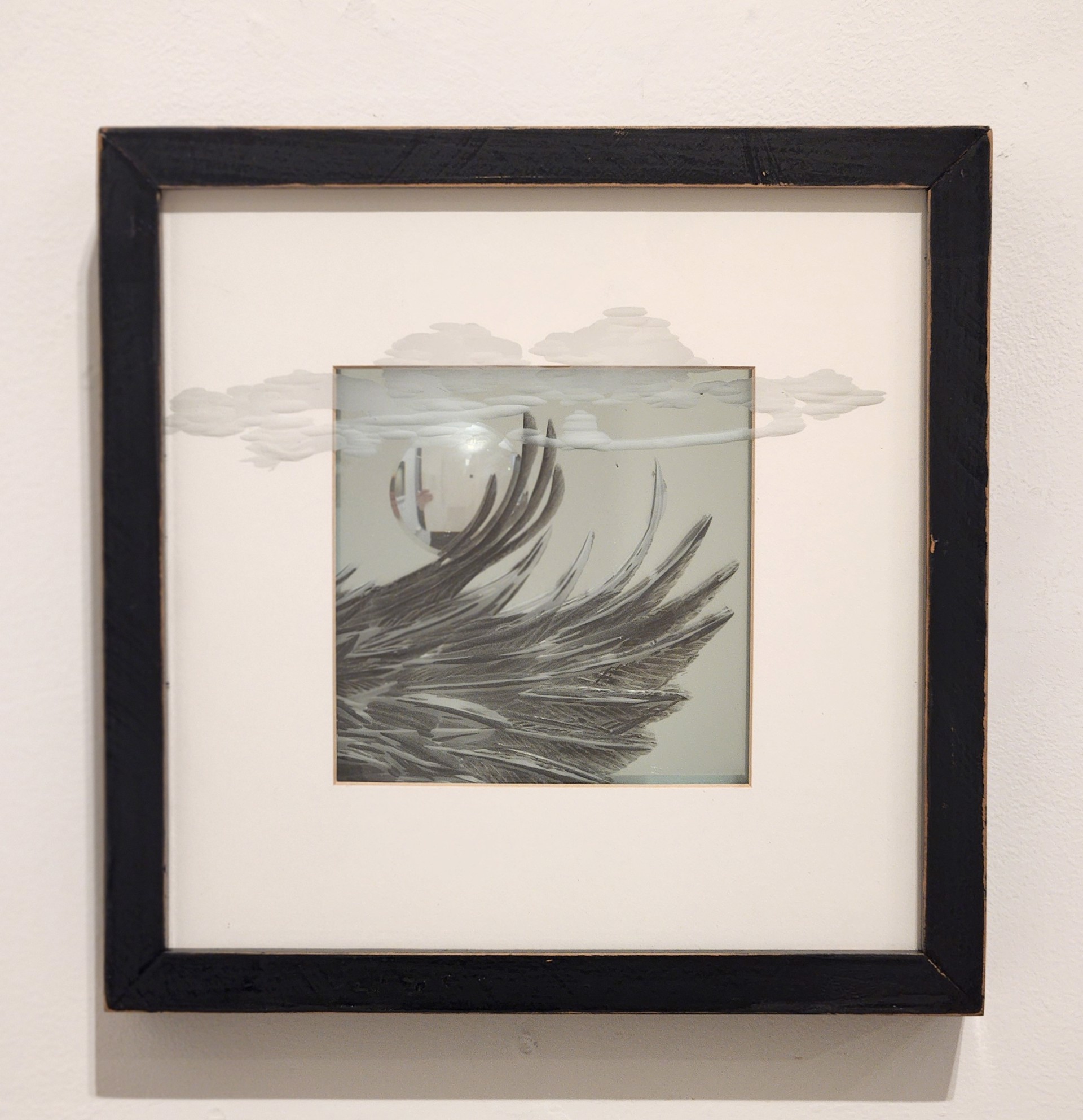 Crow Wing by Richard Jones | Abel Contemporary Gallery