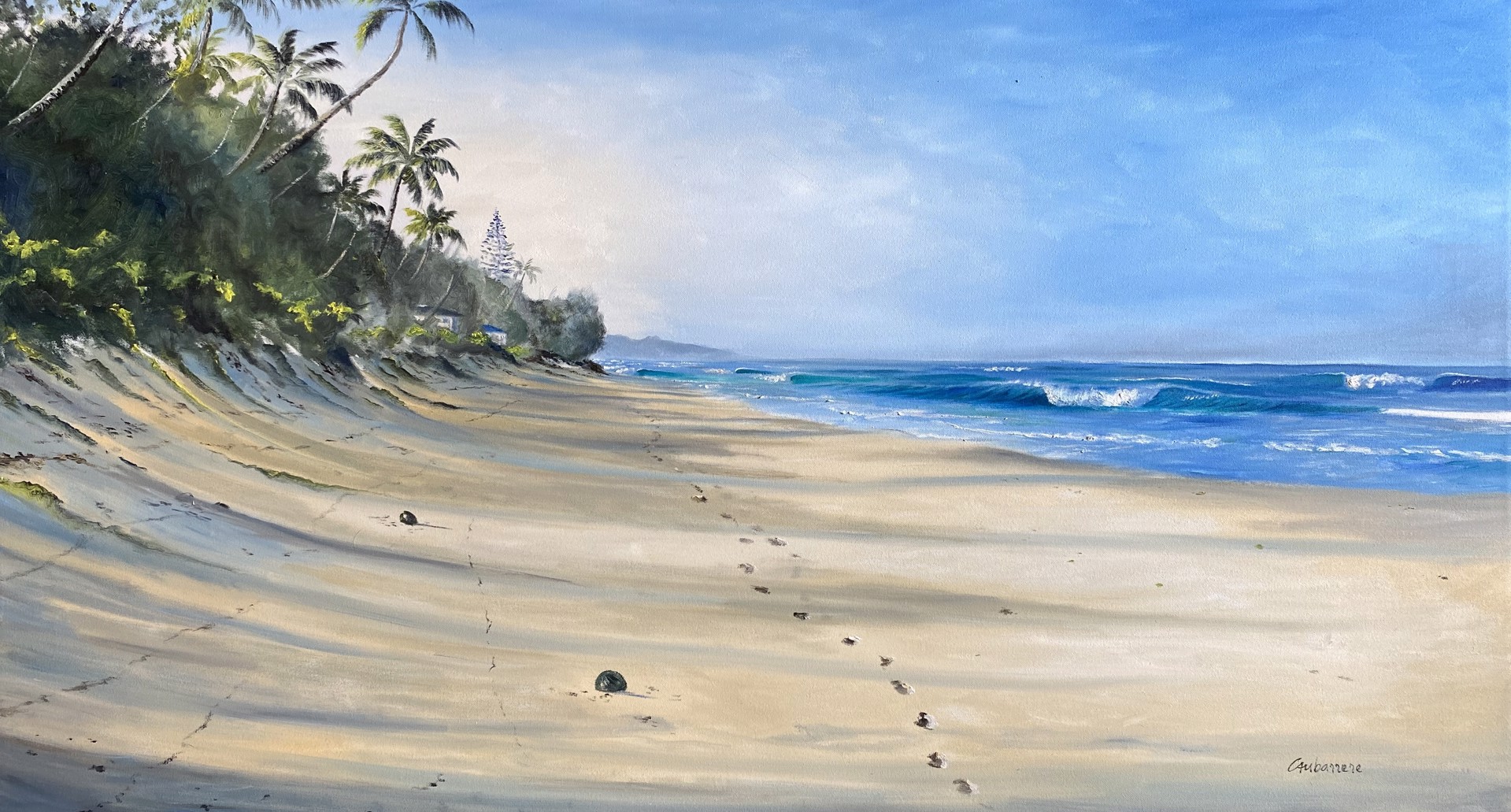 Walking at ʻEhukai Shore by Nicolas Caubarrere