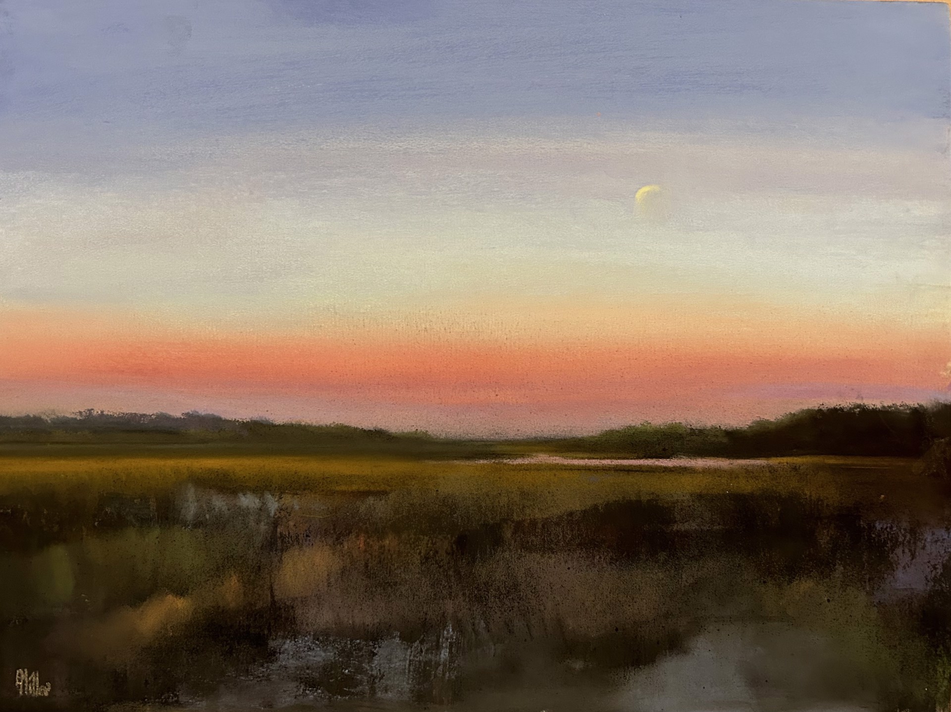 Morning Light by Eve Miller