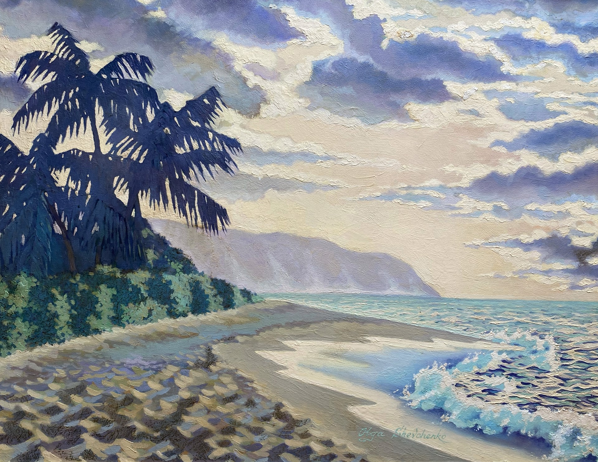 Kaʻena Point by Olga Shevchenko