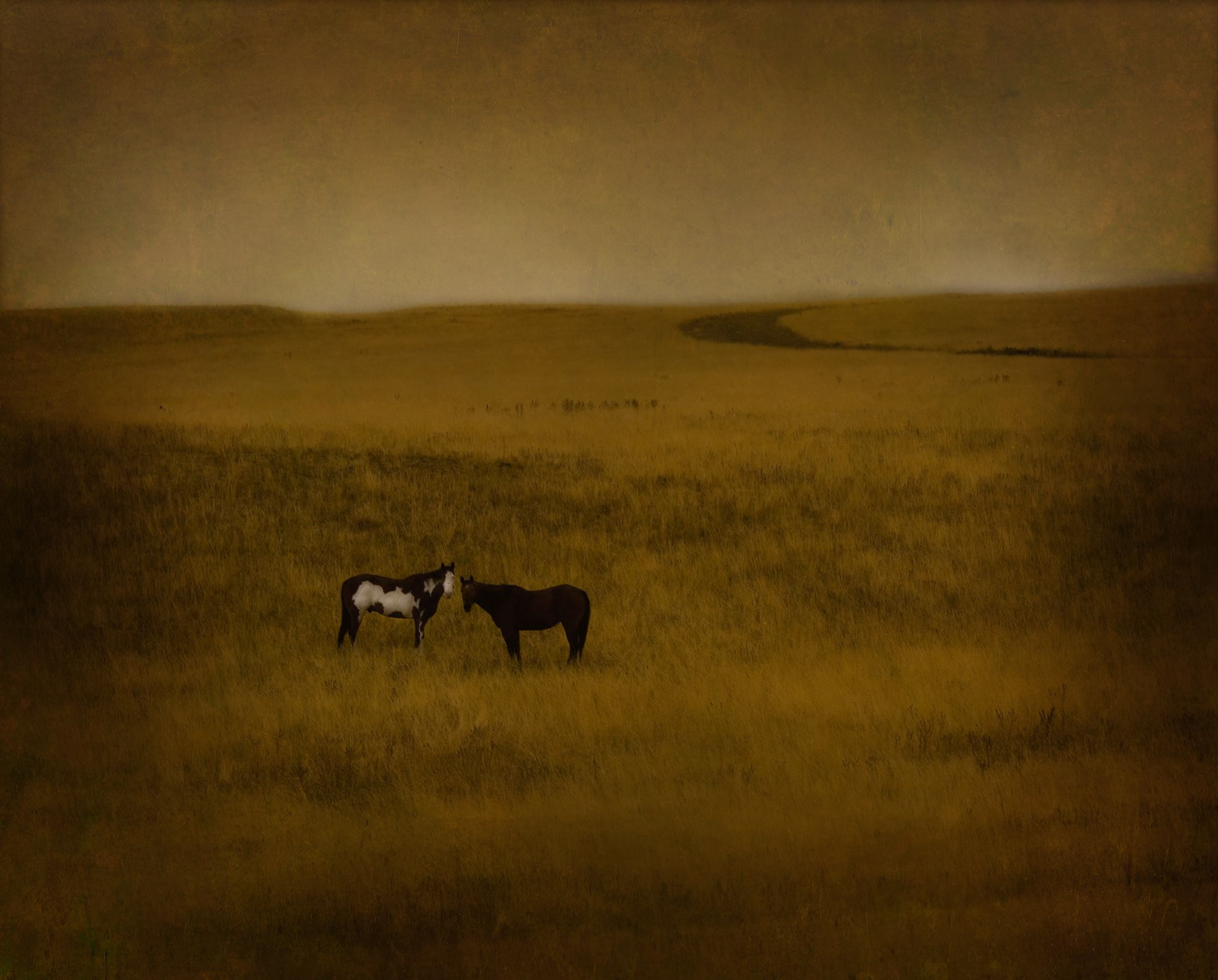 2 Horses 5/10 by Jack Spencer