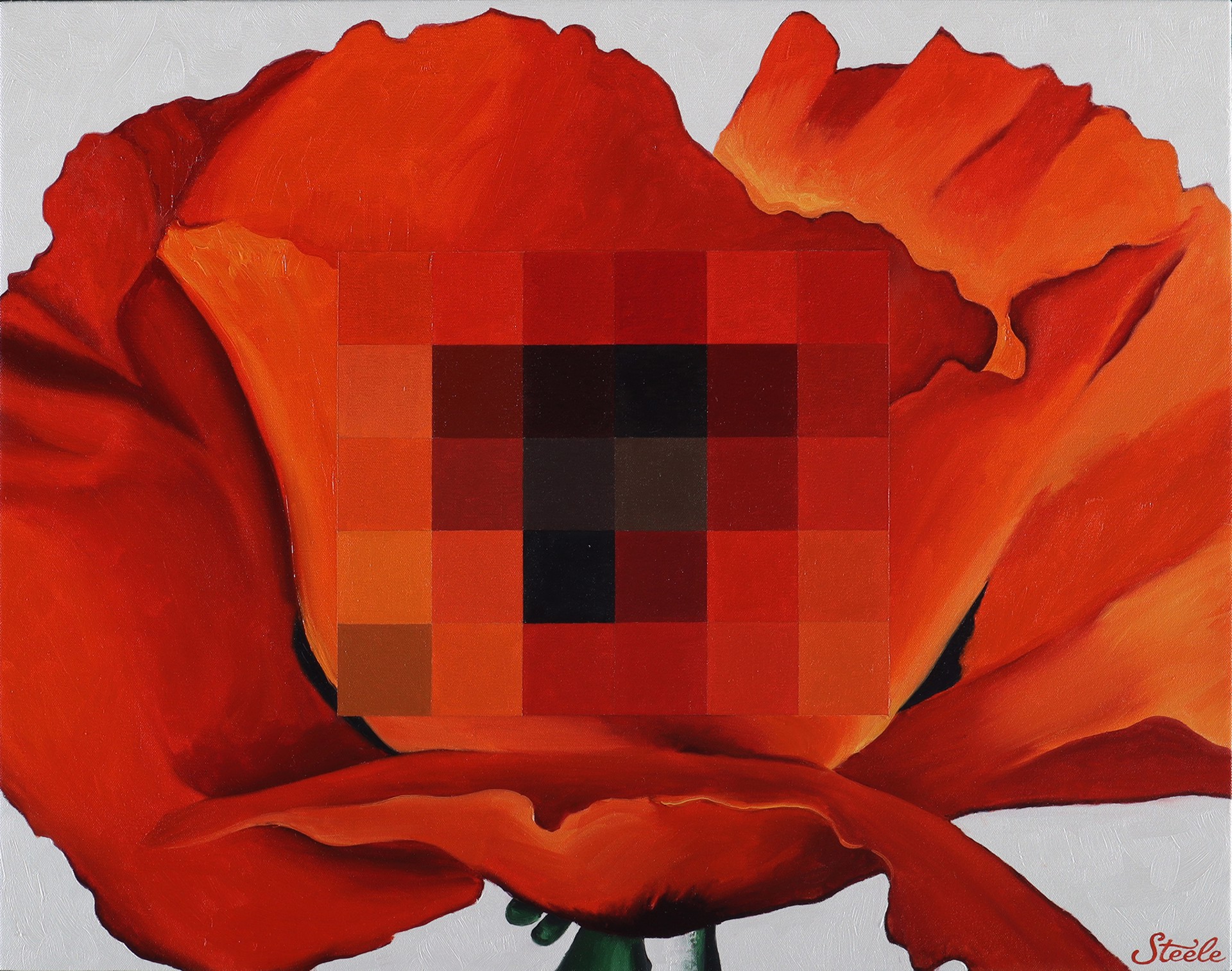 Censored: Big Red Poppy by BEN STEELE