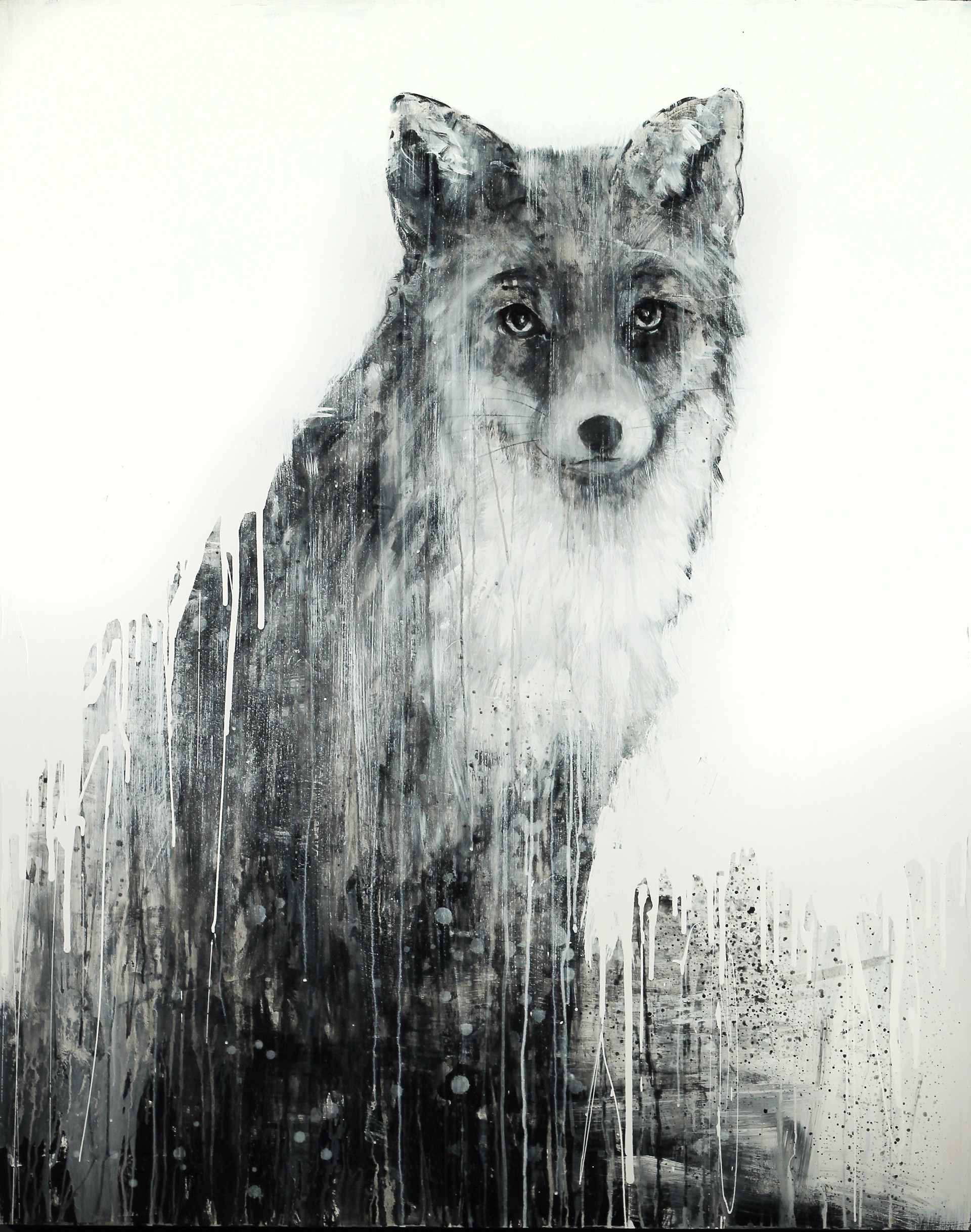 A Contemporary Oil Painting Of A Fox By Matt Flint Available At Gallery Wild