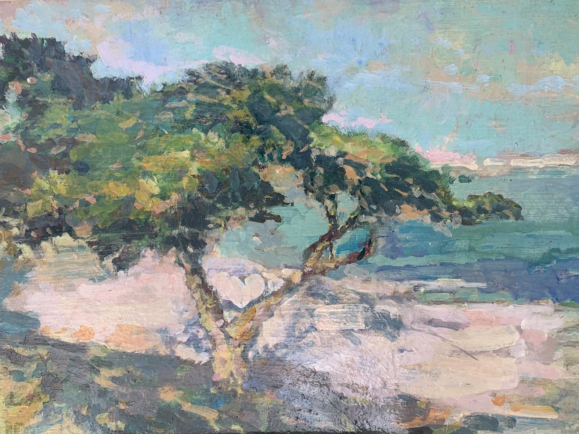 Shepard's Cove Carmel by John Cornfield