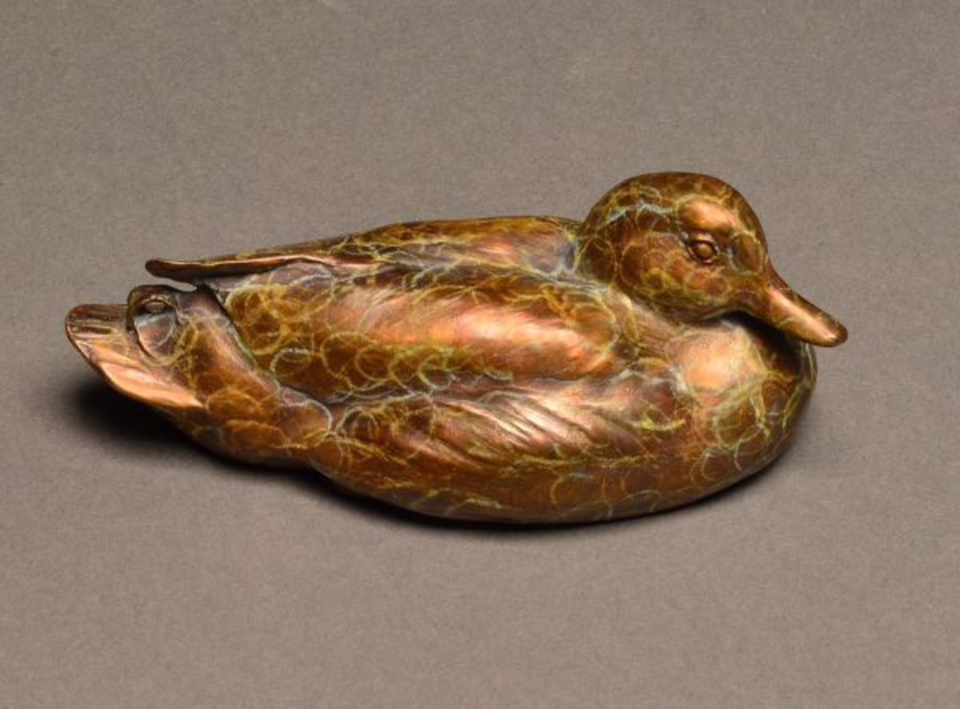 Mallard Mini by Stefan Savides