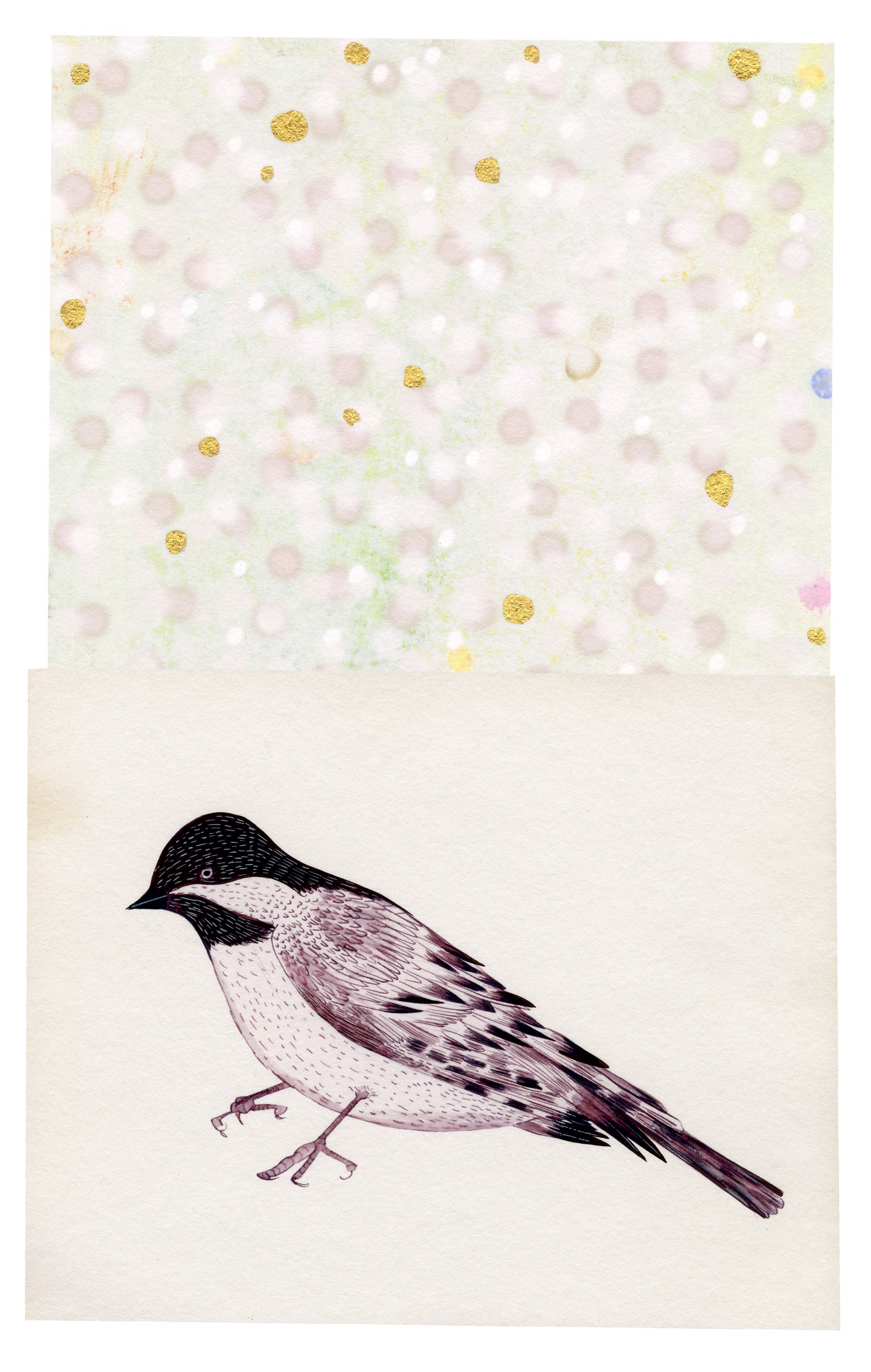 Bird on White by Anne Smith