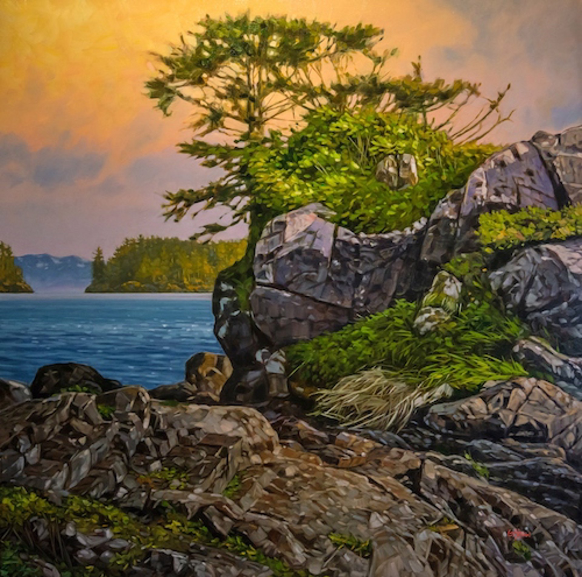 High Tide Dancer - Ucluelet by Graeme Shaw
