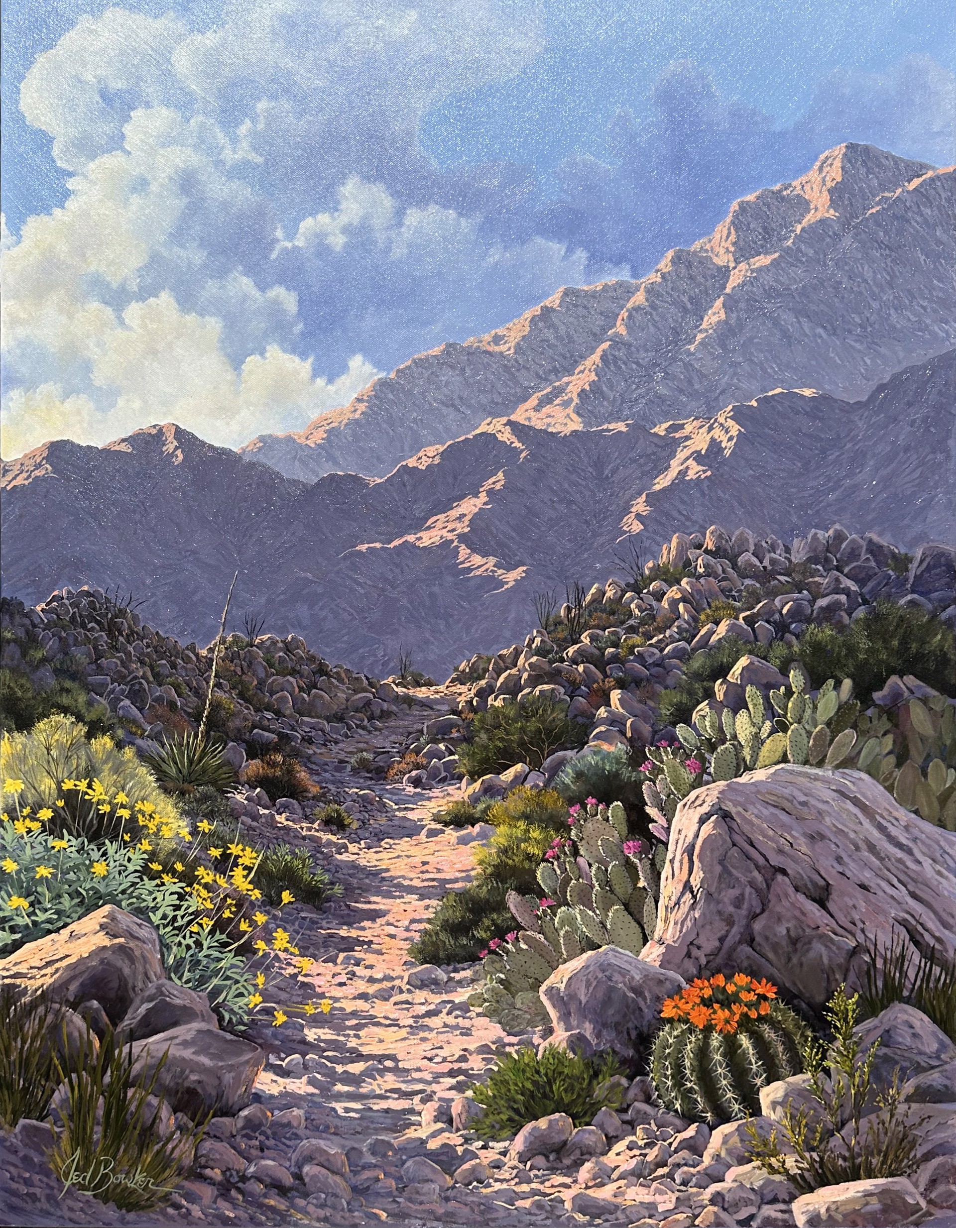 Tahquitz Canyon Trail by Jed Bowker