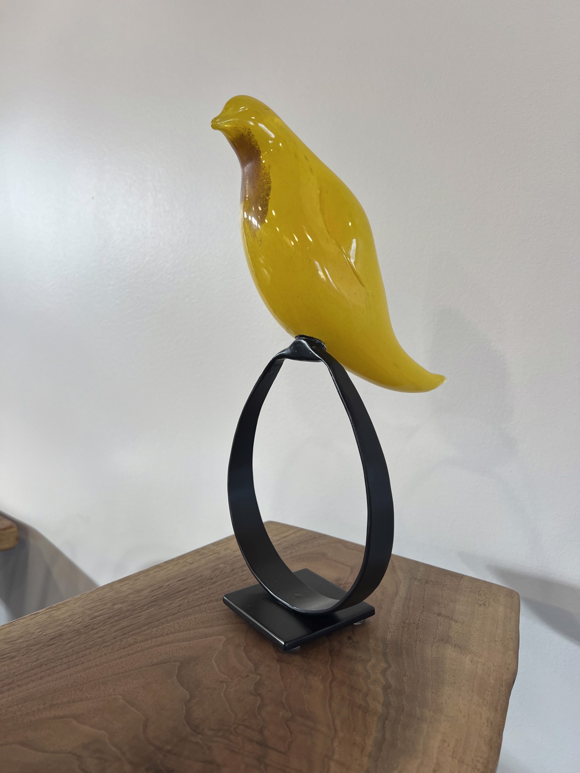 little yellow bird by SAM SPEES