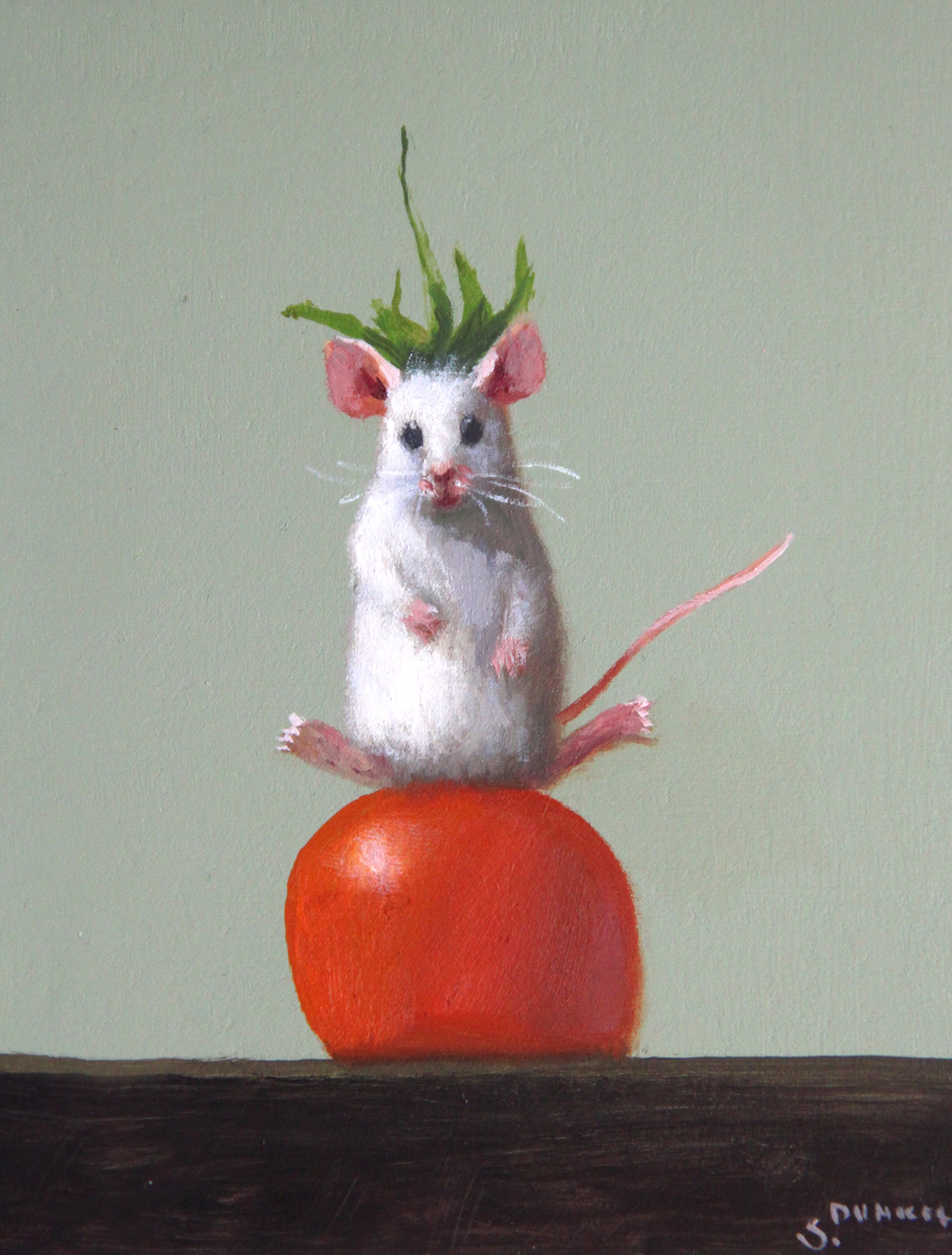 King of Tomato by Stuart Dunkel