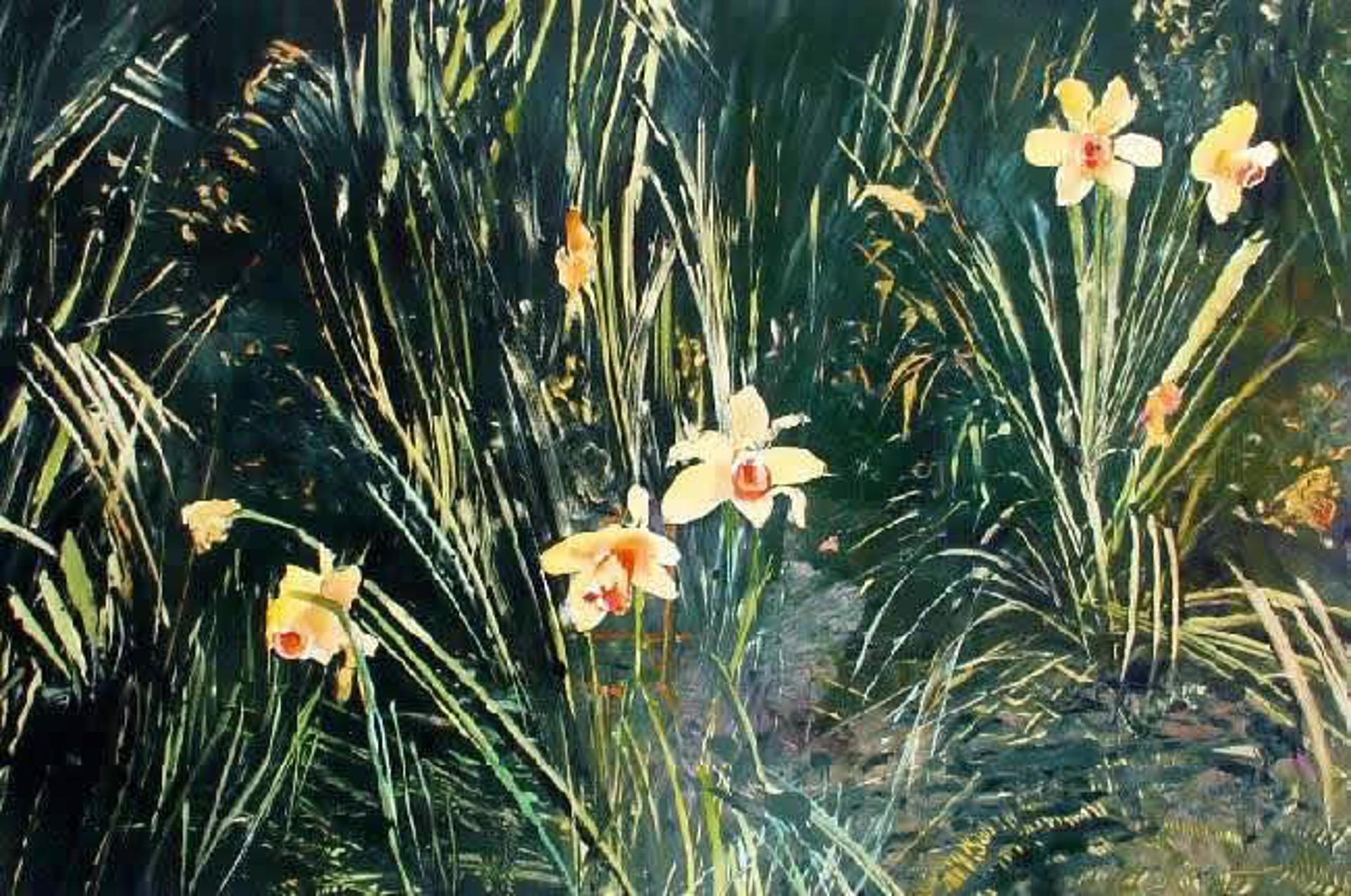 Daffodils by Margaret Petterson