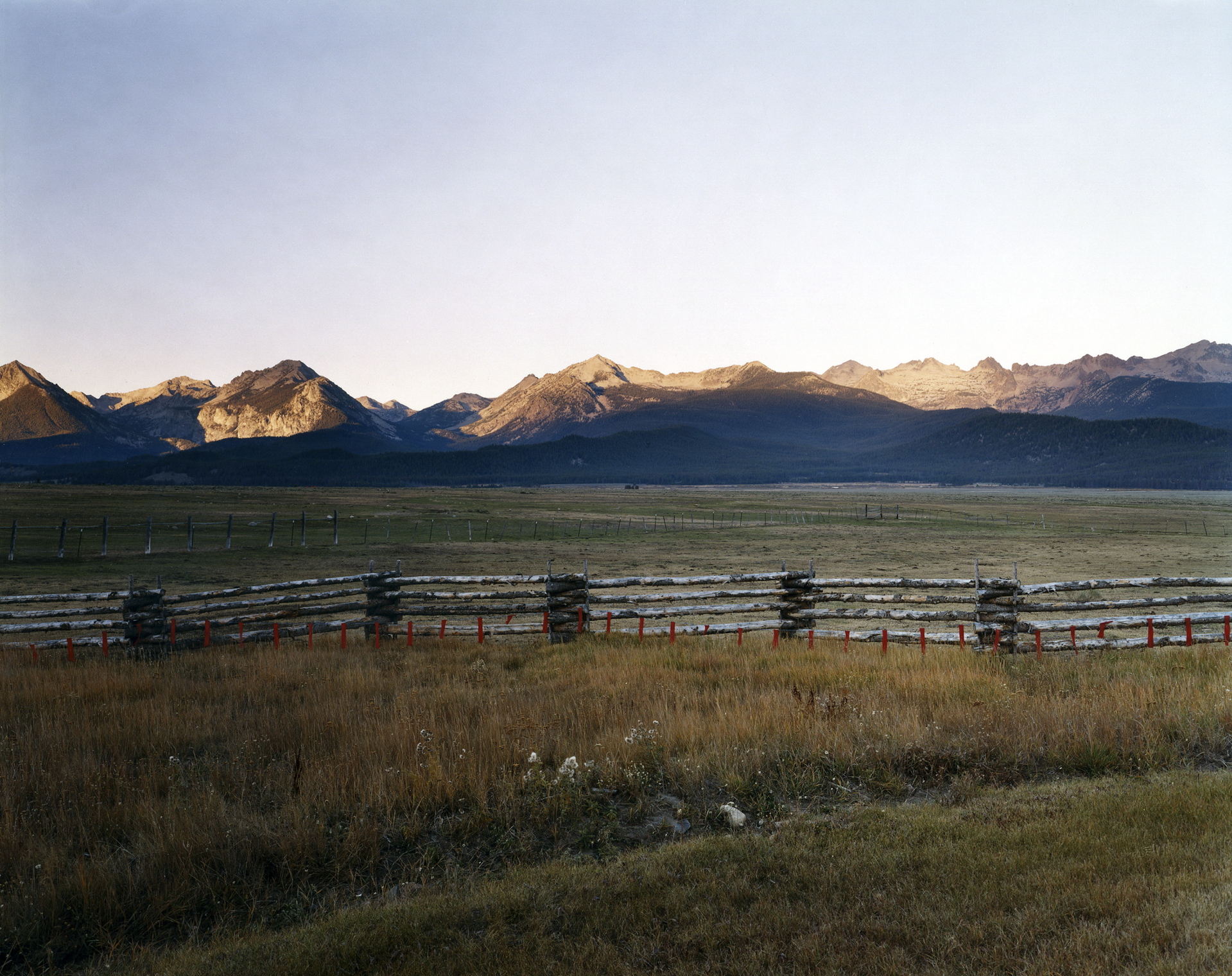Red Fladry to Spook Wolves and Deter Them from Killing Calves, Fourth of July Creek Ranch, Custer County, Idaho, September 30, 2003 by Laura McPhee